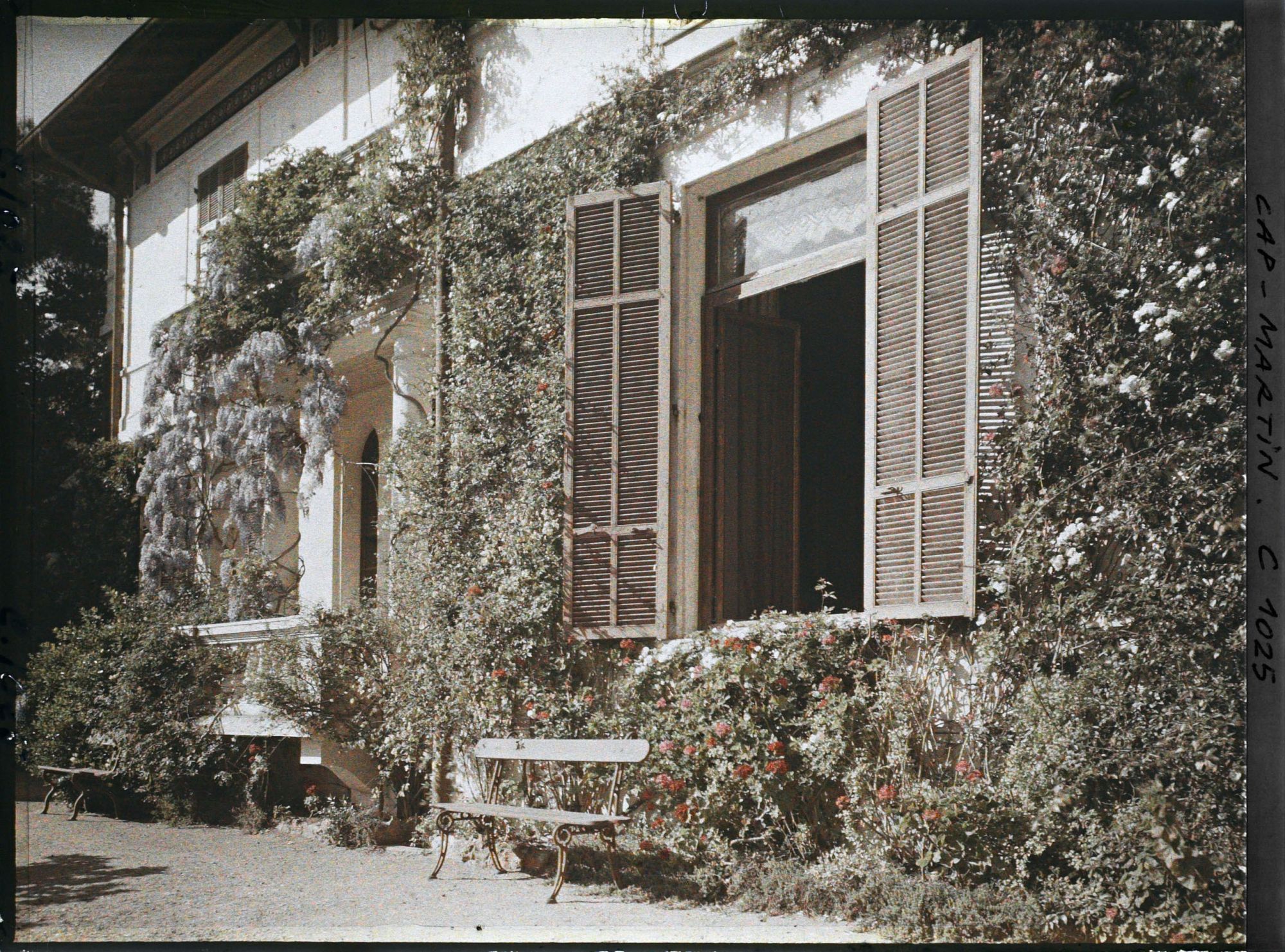 Image représentant La villa Miramar et sa glycine