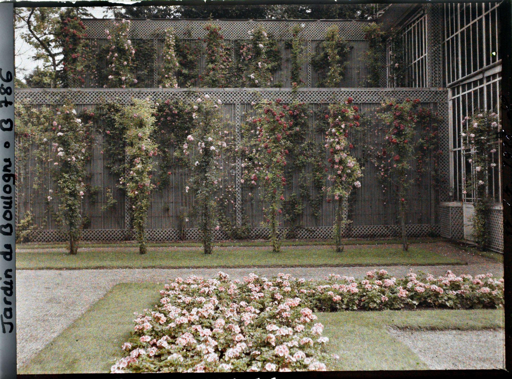 Image représentant Parterre nord-ouest du jardin français, situé près de la serre et du verger-roseraie