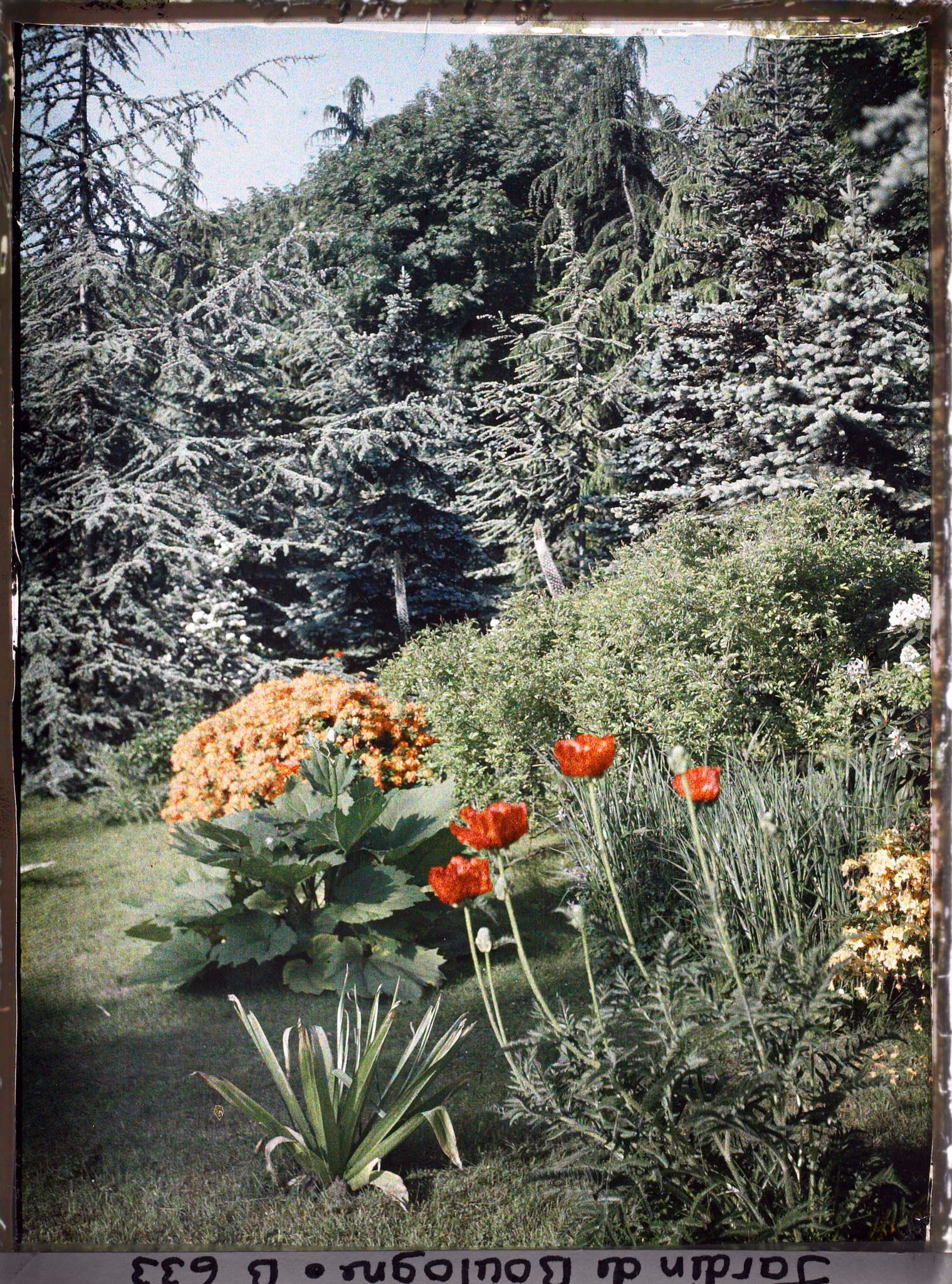 Image représentant jardins