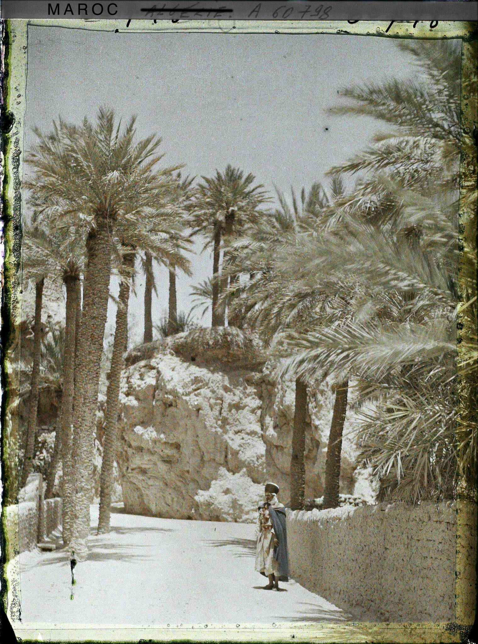 Image représentant L'entrée de la palmeraie