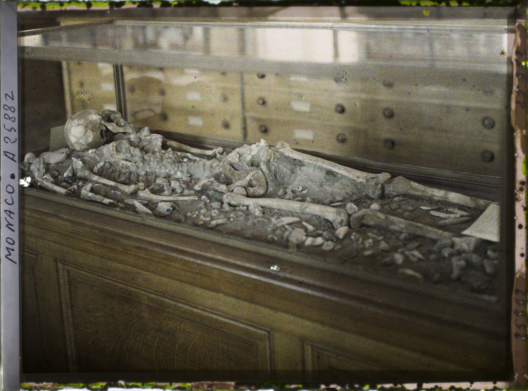 Image représentant Squelette de femme âgée, taille 1m55. Quaternaire Supérieur, Grotte des enfants