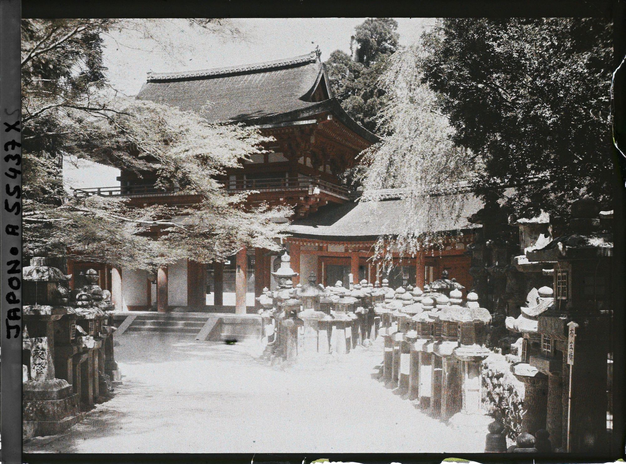 Image représentant Sanctuaire Kasuga-taisha (ou Kasuga-Jinja) : la Nandaimon ou Nammon (Porte du Sud)
