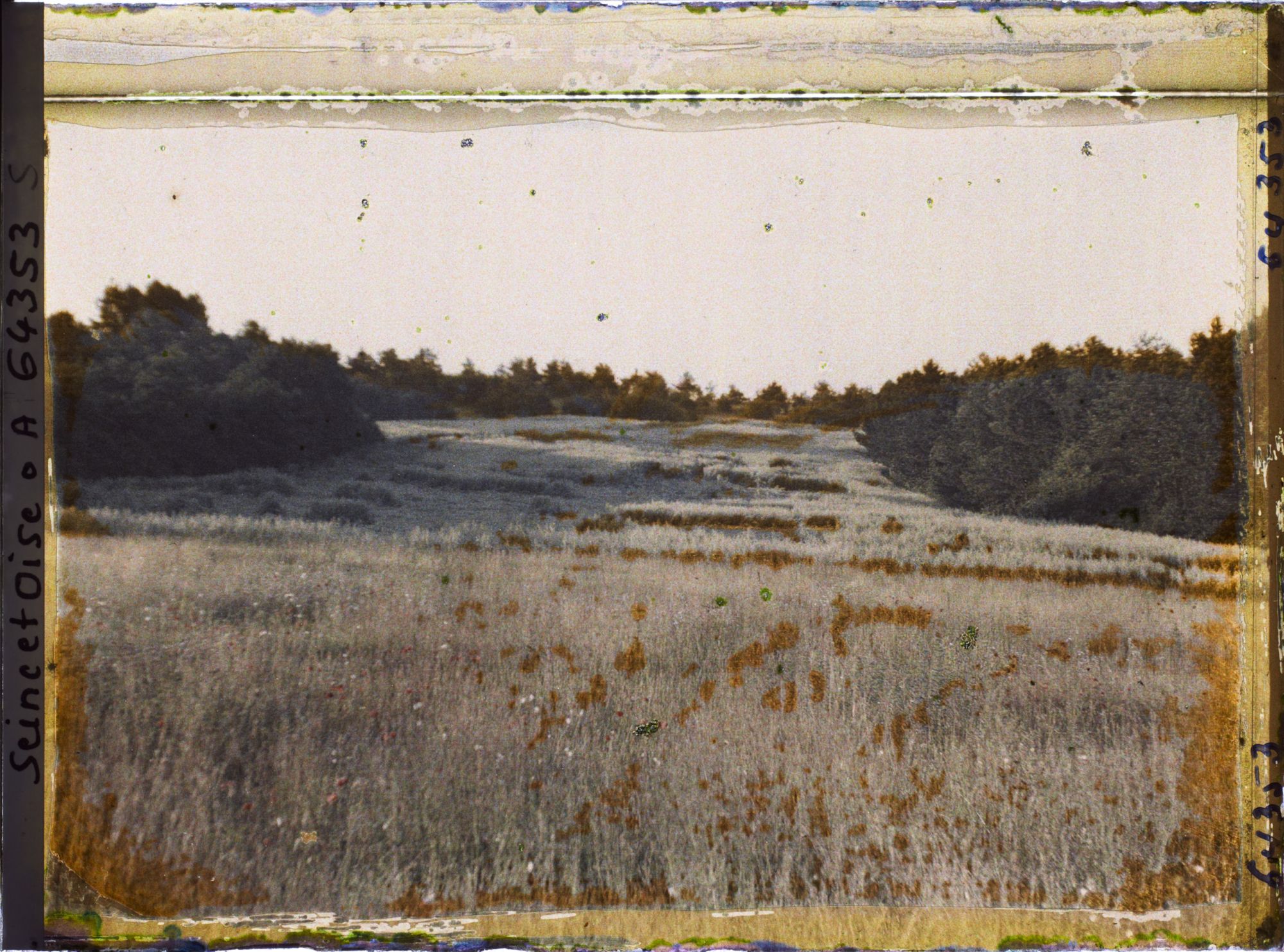 Image représentant Ile de France, Vallangoujard, Champ d'Avoine au lever du soleil