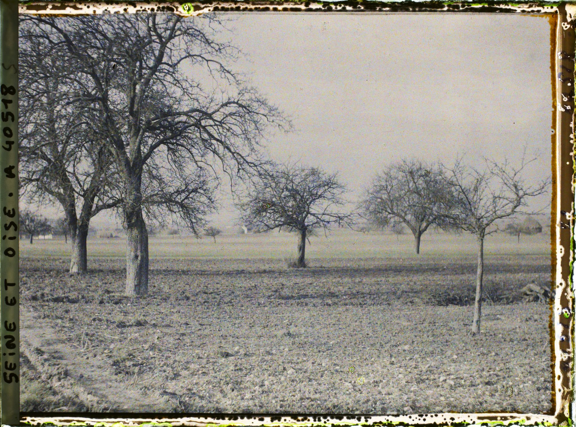 Image représentant France, Les Clayes, Champ et Pommiers