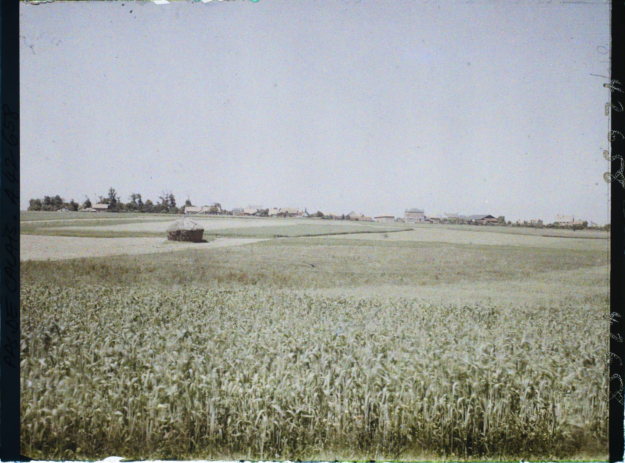 Image représentant France, Roclincourt, Vue Gle d'Ecurie et sol remis en Culture