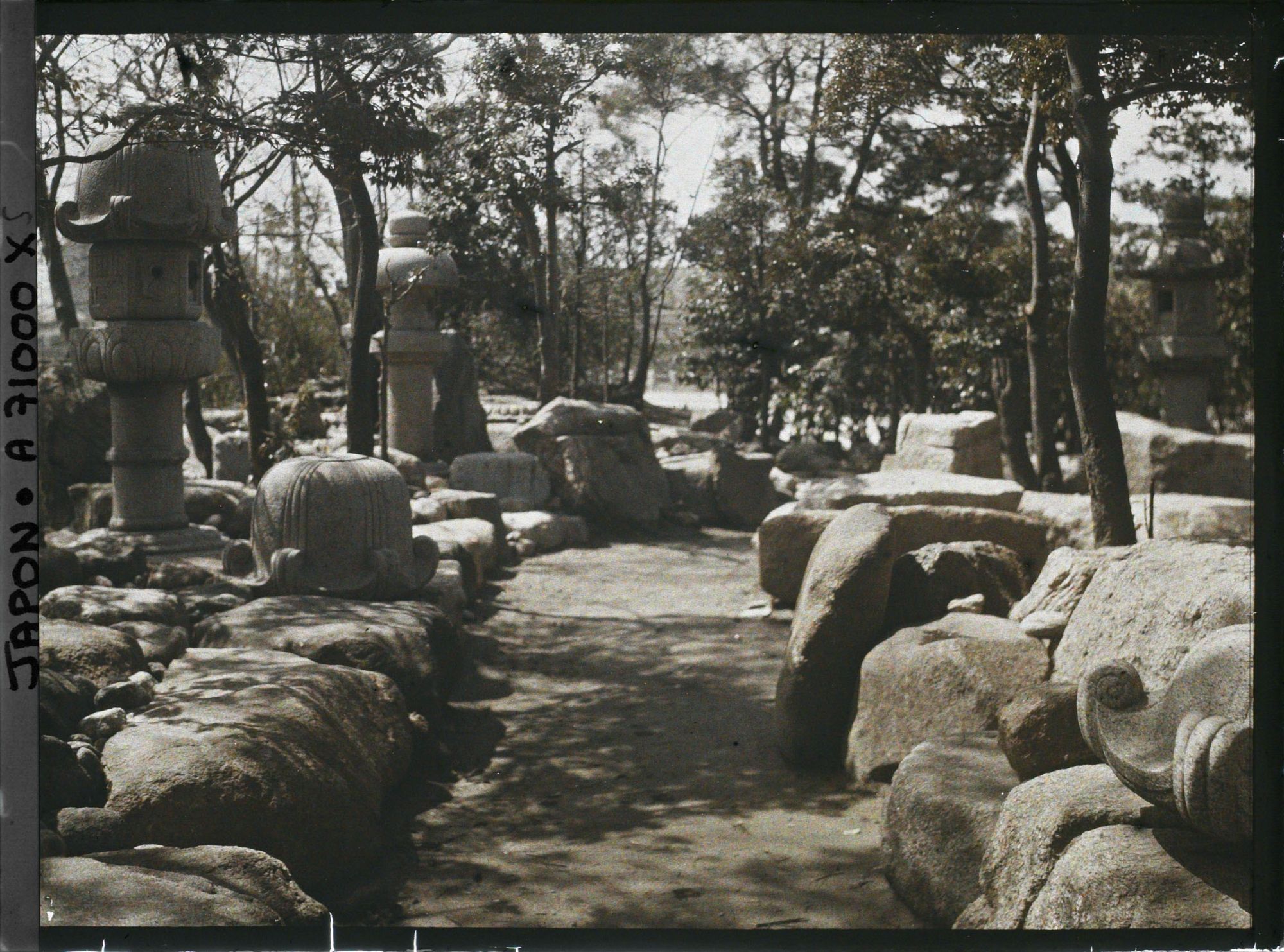 Image représentant Lanternes dans un parc