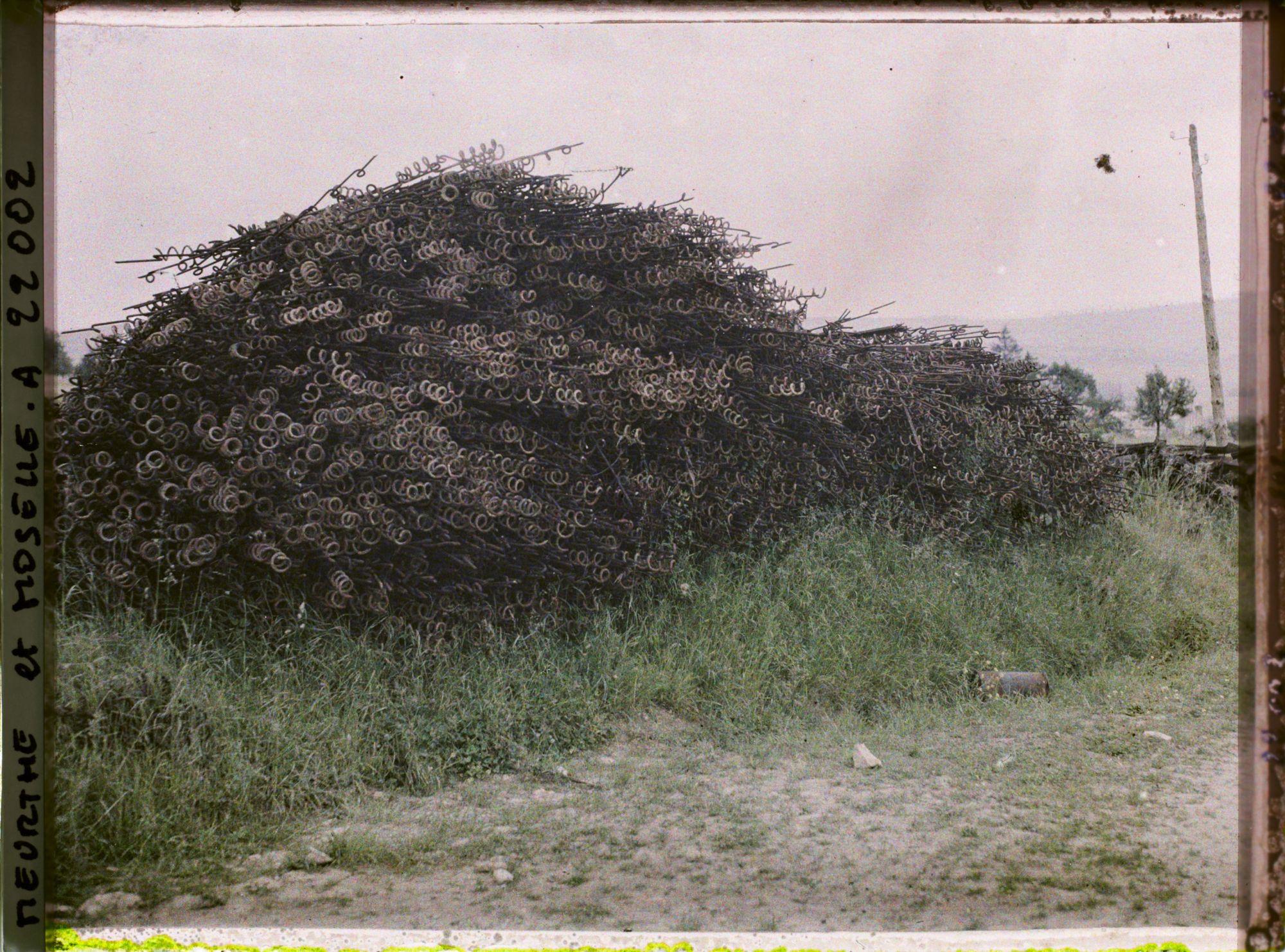 Image représentant France, Norroy, Piquets de barbelés enlevés des Champs