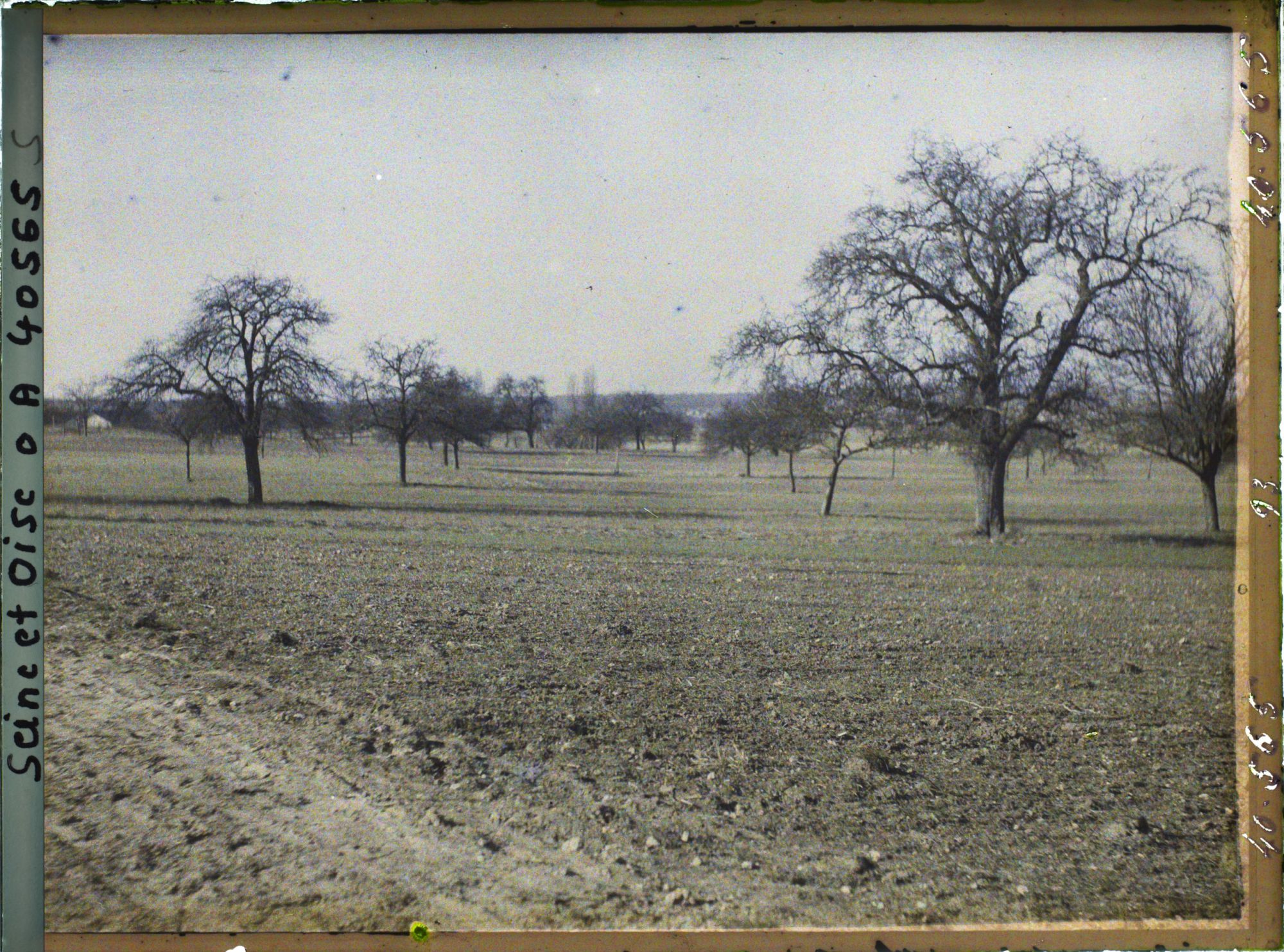Image représentant France, Les Clayes, Champs et Pommiers