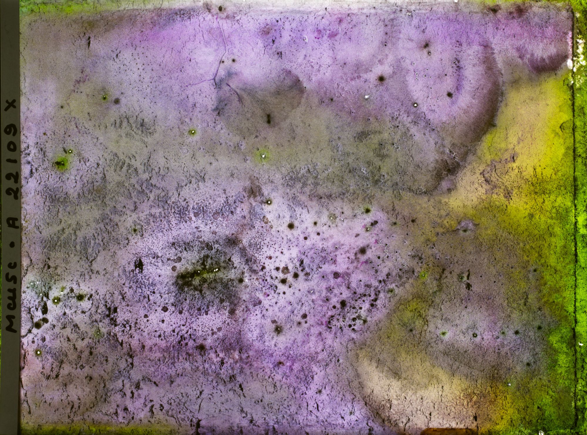 Image représentant Image illisible, plaque endommagée par l'eau (altérations d'époque)