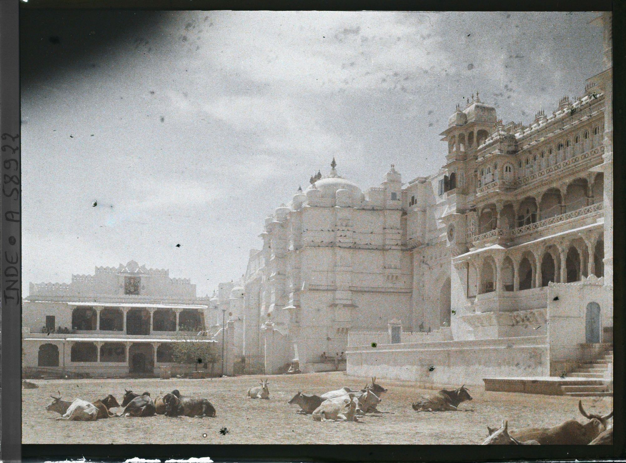 Image représentant L'esplanade (Manek Chowk) devant les palais des maharanas du Mewar, occupée par des vaches sacrées