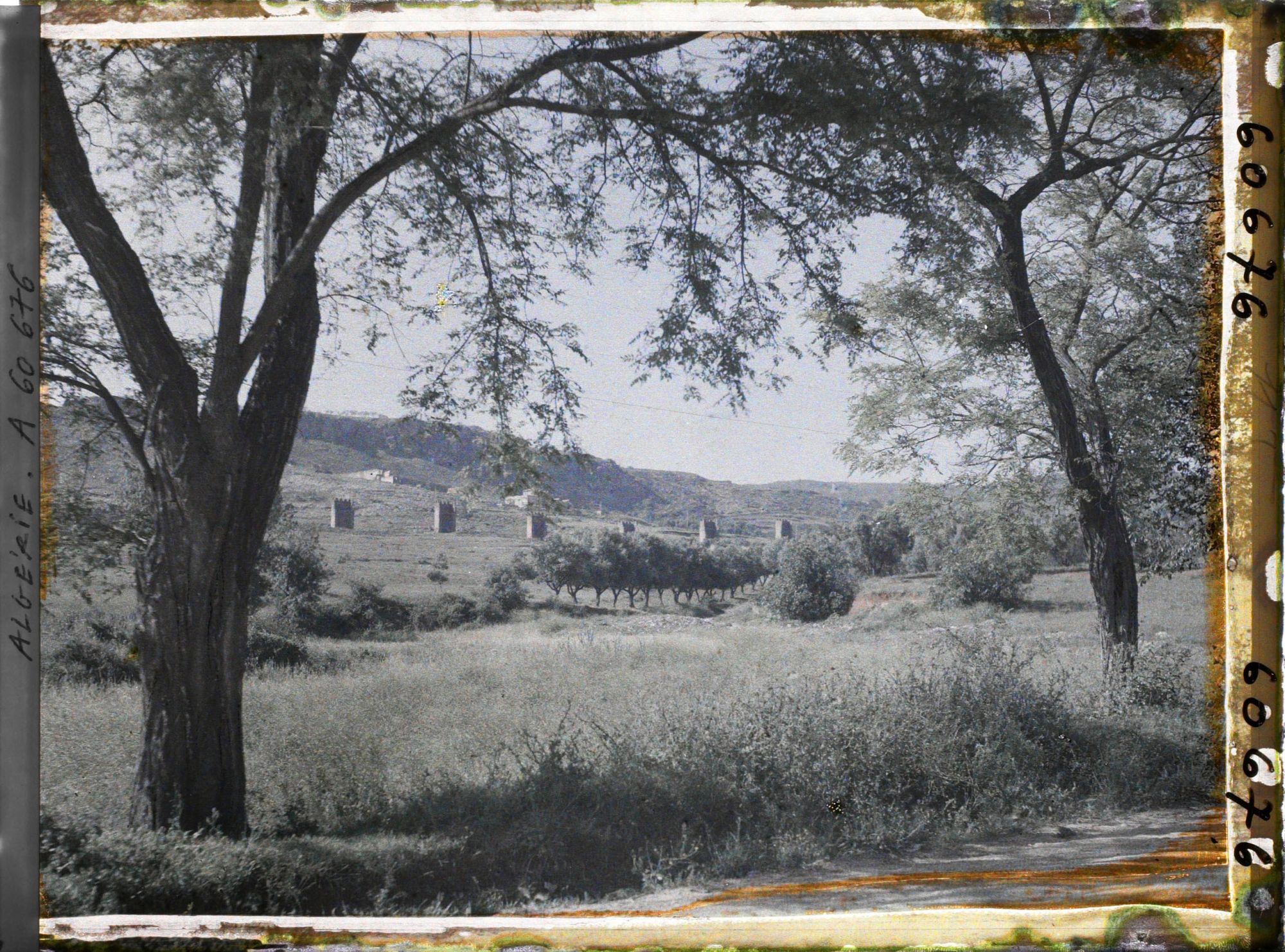 Image représentant La campagne autour de l'ancienne ville de Mansoura