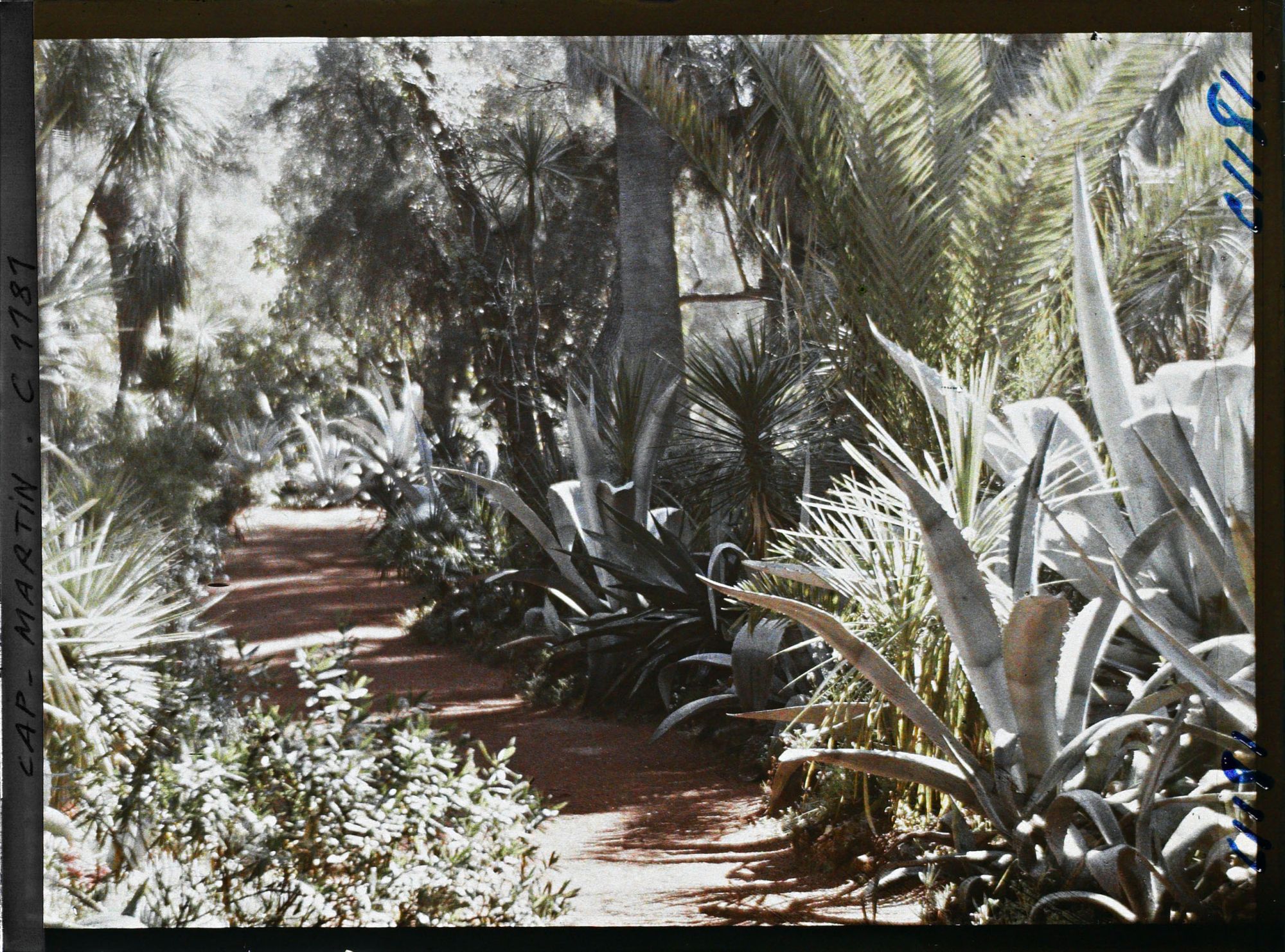 Image représentant le jardin