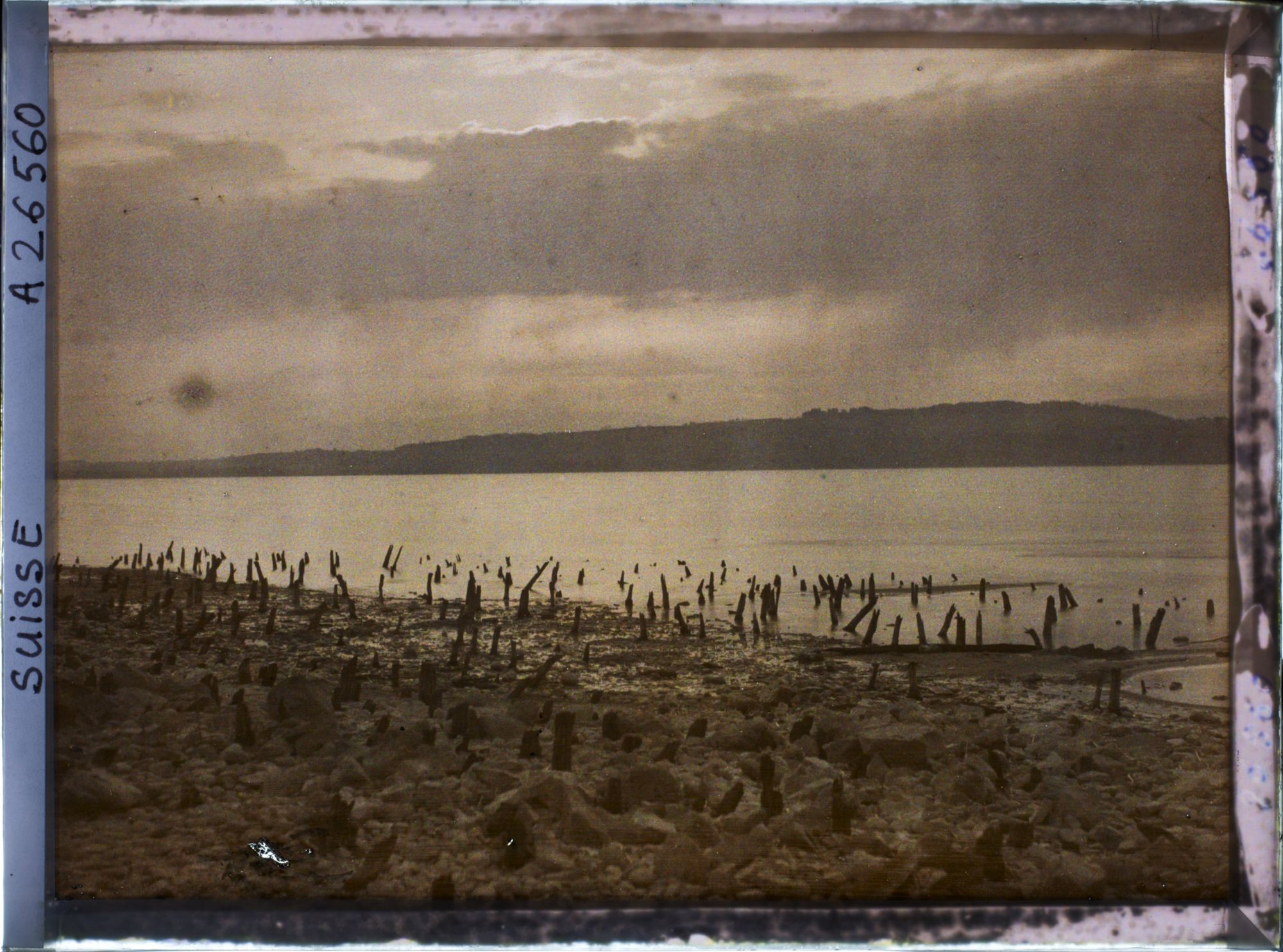 Image représentant Site palafittique préhistorique des Alpes, pieux en bois visibles lors de la baisse des eaux après la grande sécheresse de 1921. Coucher de soleil sur le lac de Morat