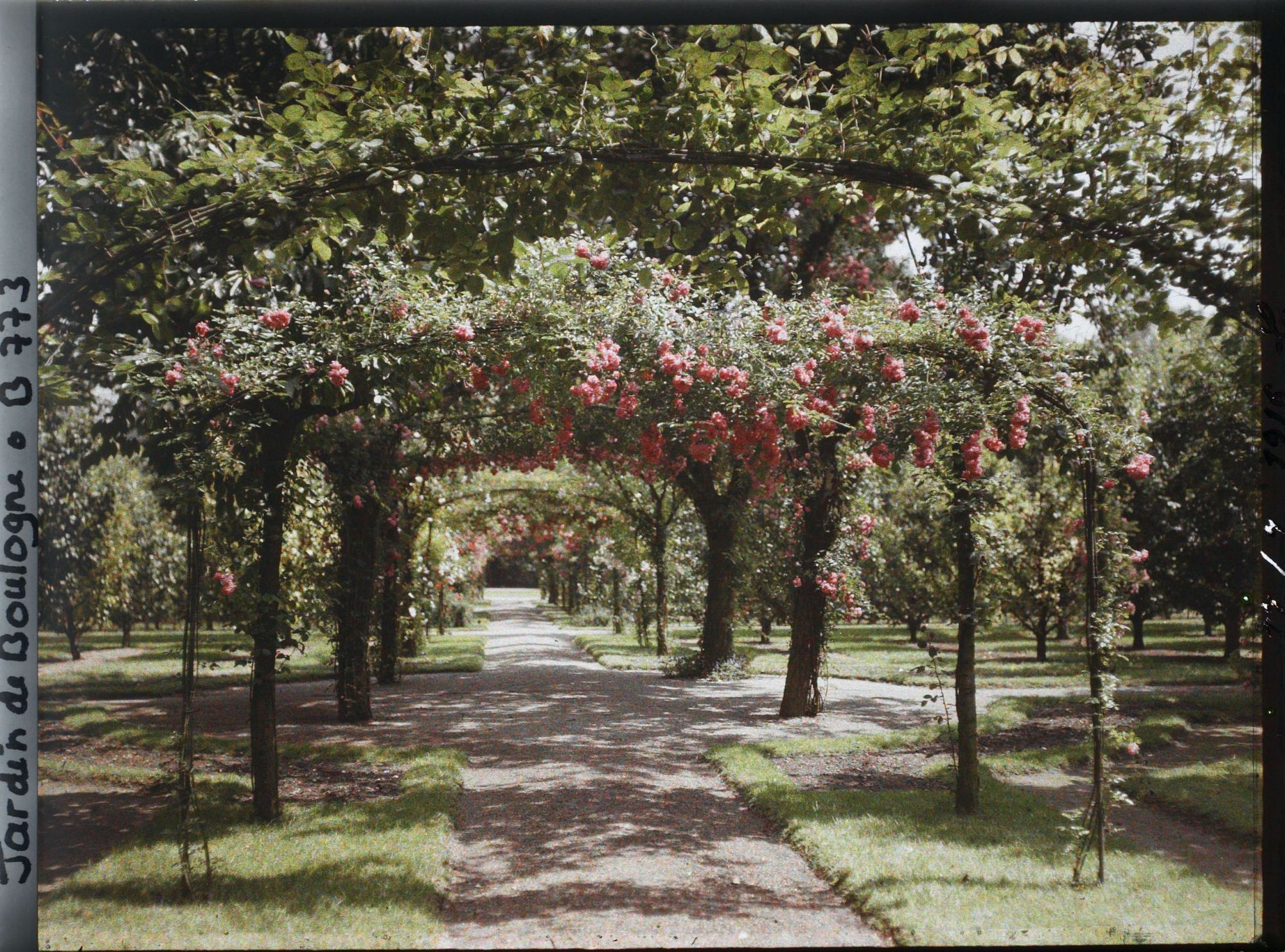 Image représentant Axe central du verger-roseraie vu en direction du jardin anglais, près du rond-point côté dépendance