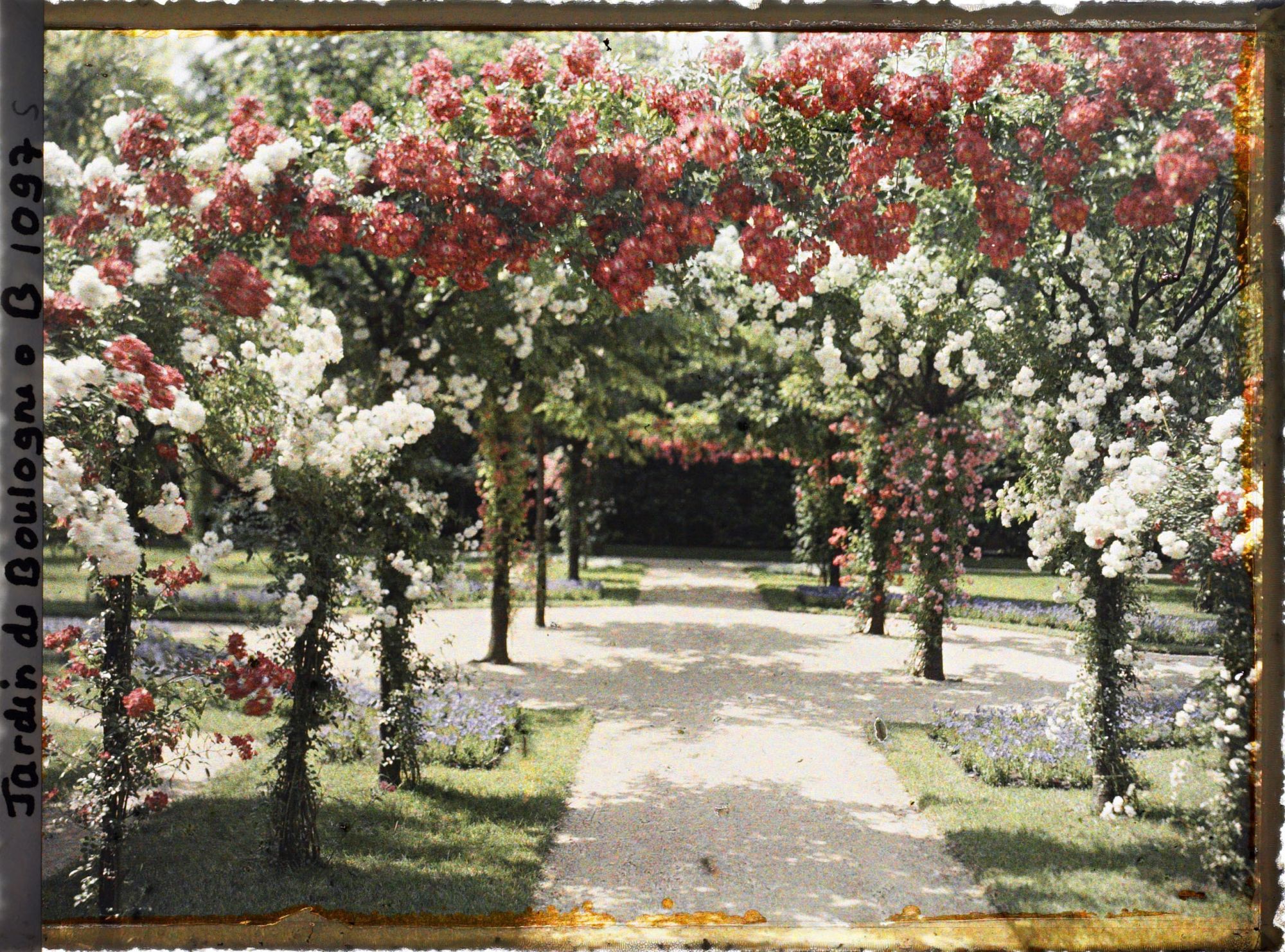 Image représentant Axe central du verger-roseraie vu en direction du rond-point situé à proximité de la dépendance