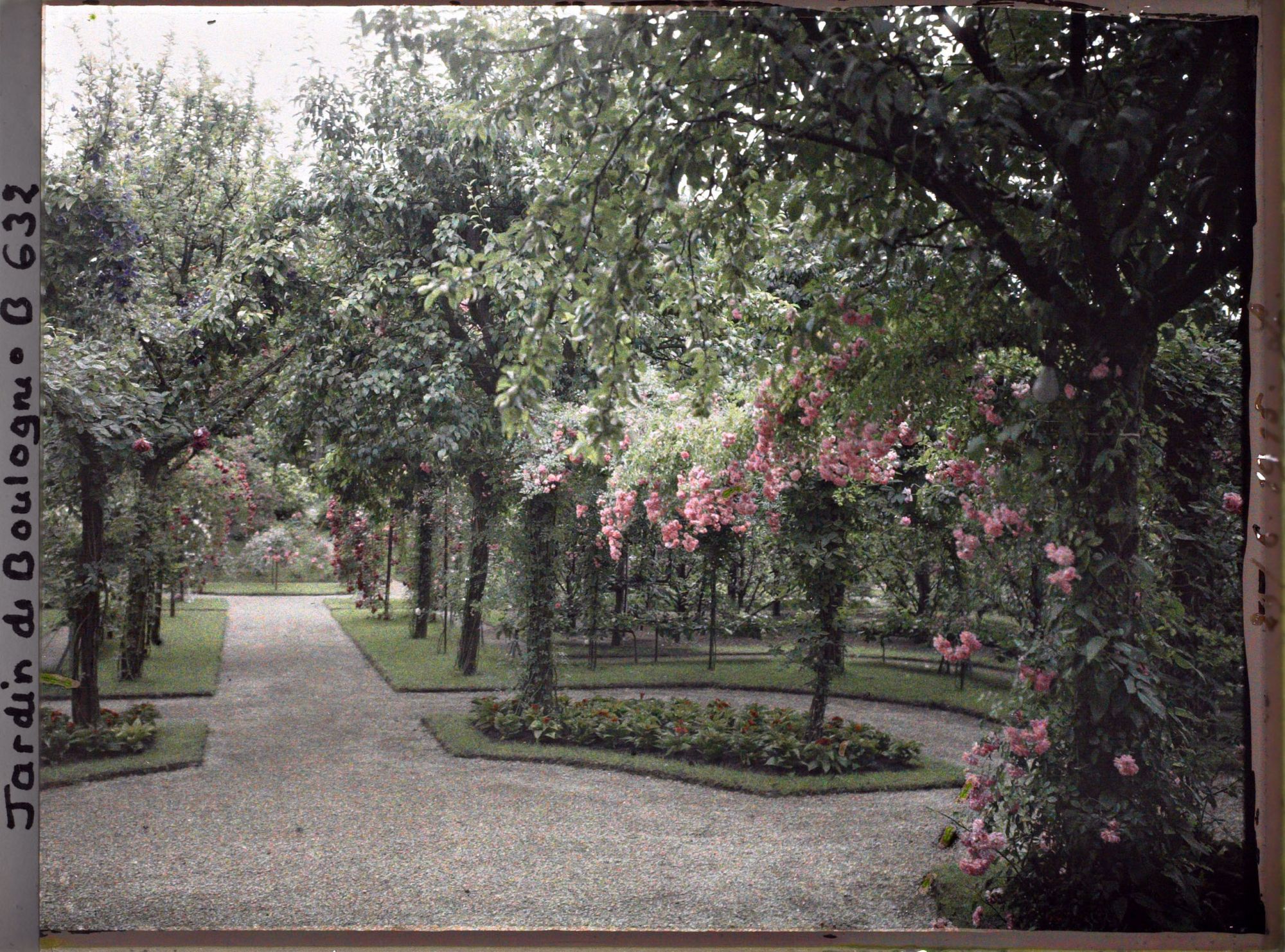 Image représentant Allée du verger-roseraie vue en direction du sud, depuis le rond-point proche du jardin français