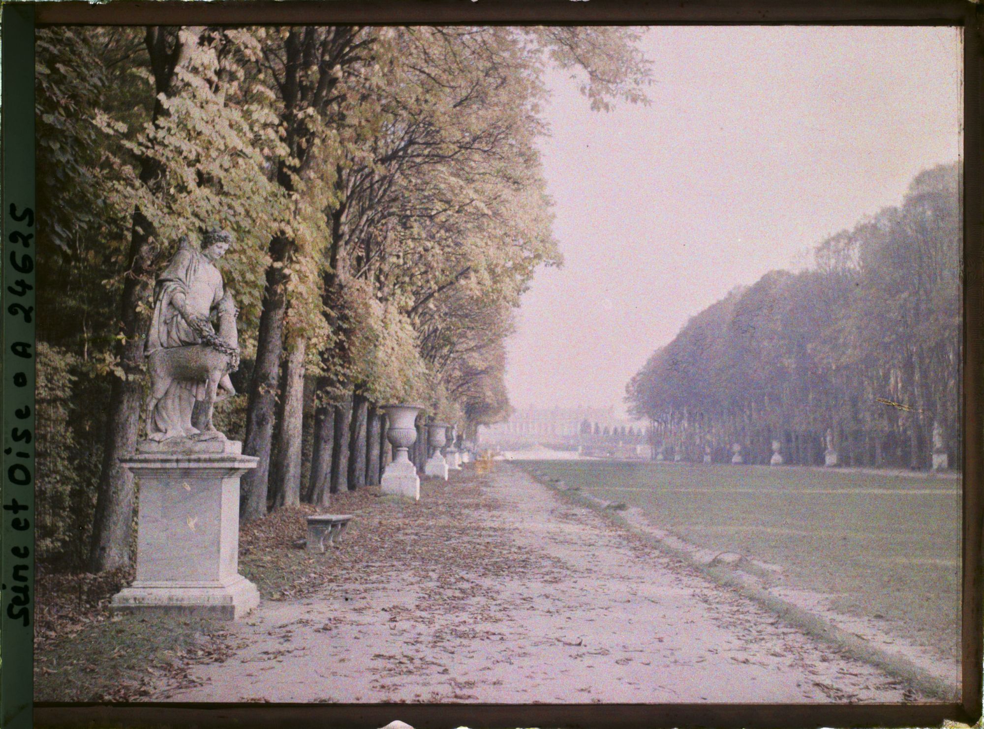 Image représentant France, Versailles, Parc de Versailles - Contre-allée du Tapis Vert