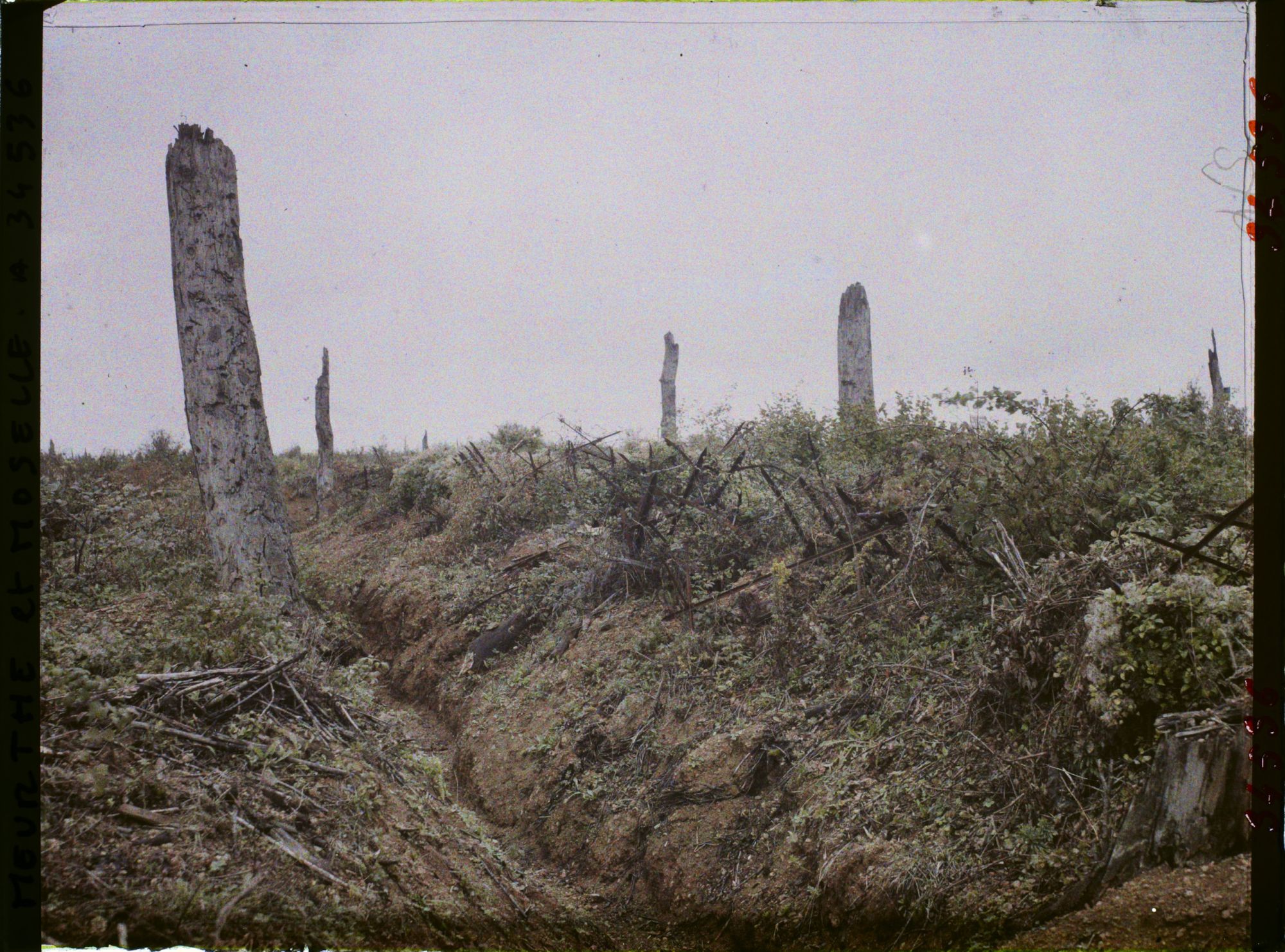 Image représentant France, Bois le Prêtre, Première ligne Française
