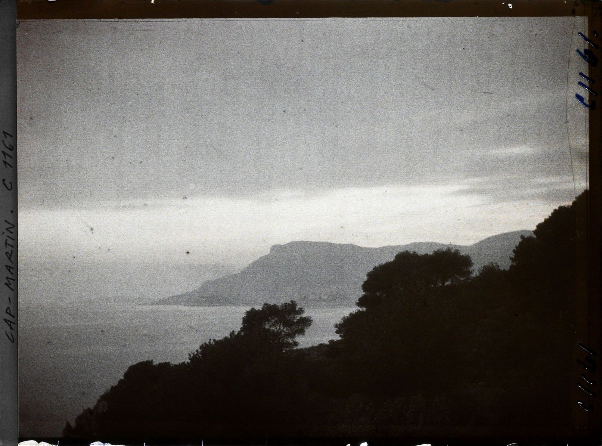 Image représentant Lignes d'arbres et pointe de Monaco vus à contre-jour, non loin de la villa Kahn, dite villa Zamir