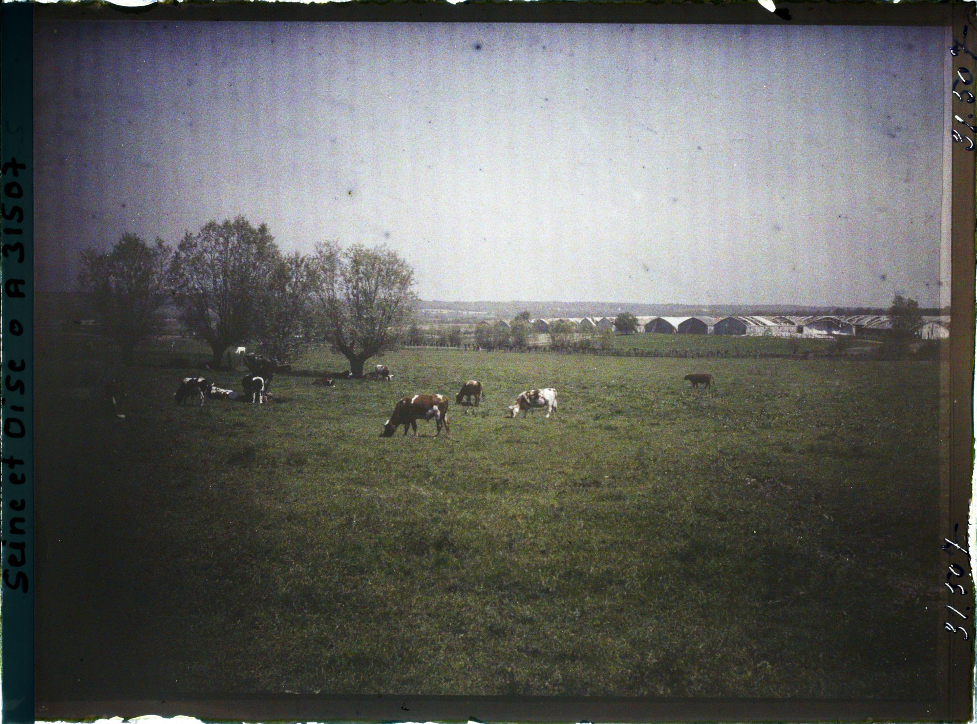 Image représentant France, Fontenay-Fleuri, Pâture à la Sortie de St Cyr