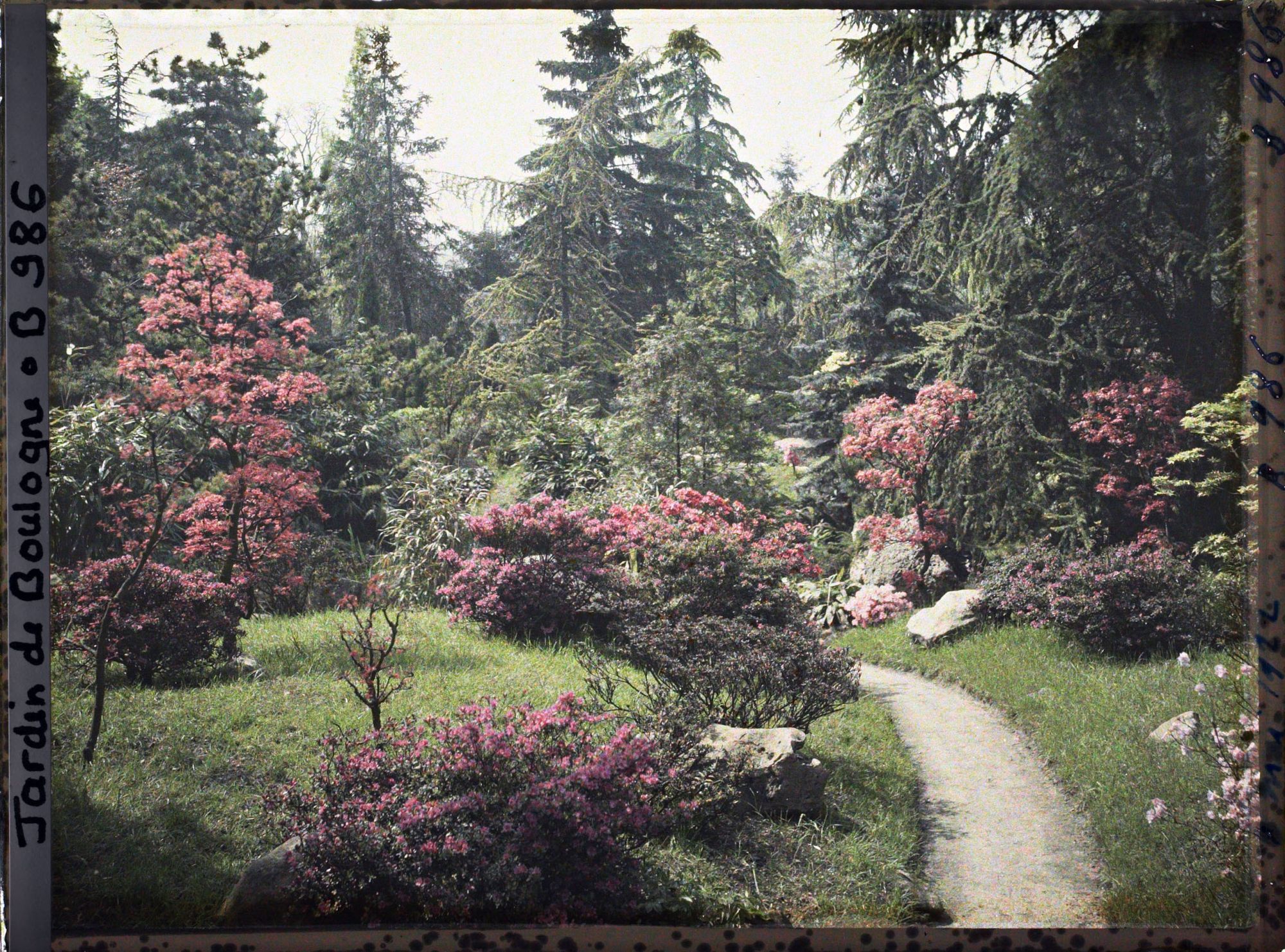 Image représentant Chemin du " sanctuaire japonais " bordé d'érables et d'azalées, à la sortie du " village japonais "