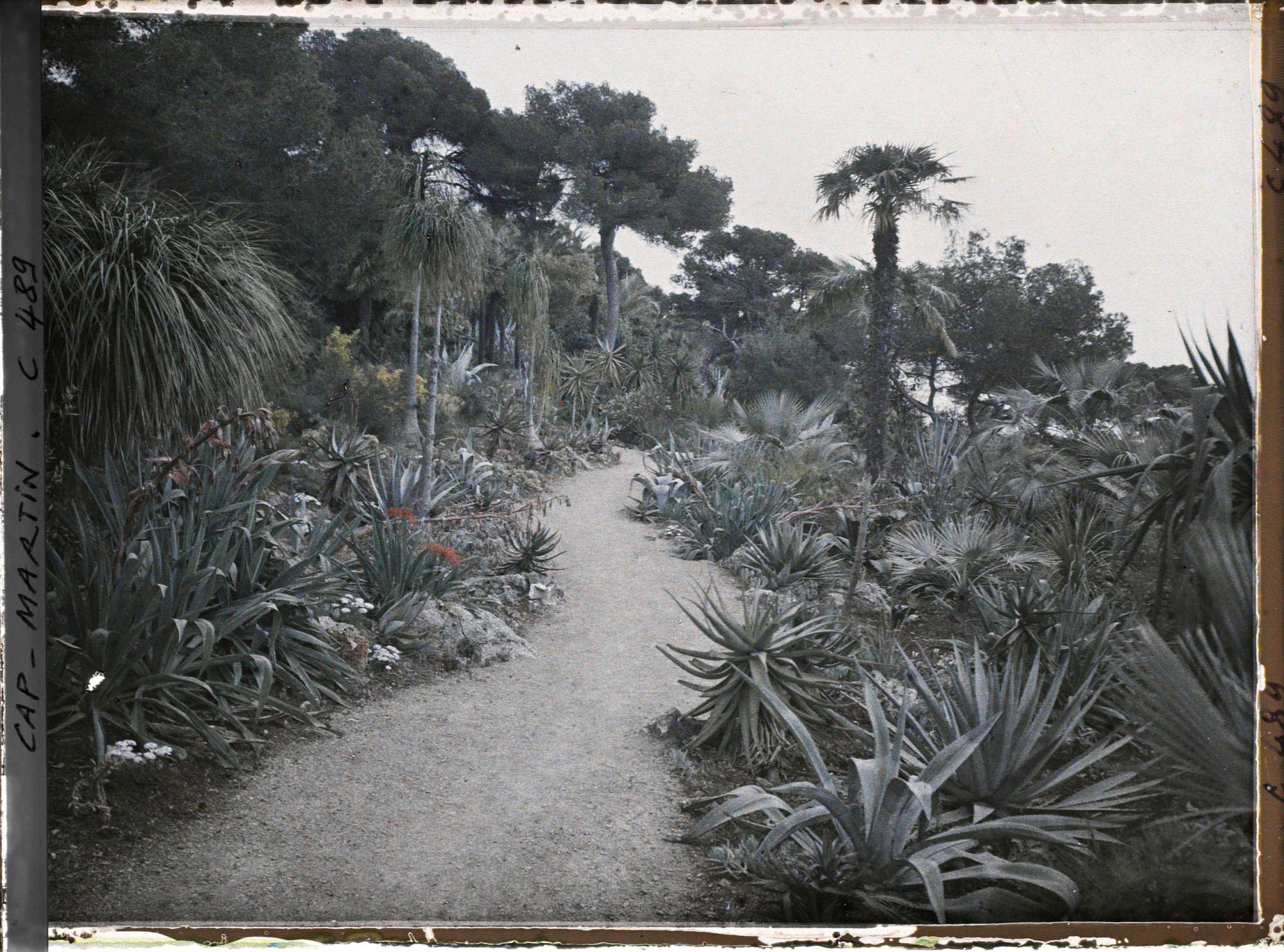 Image représentant Cap Martin Le Jardin