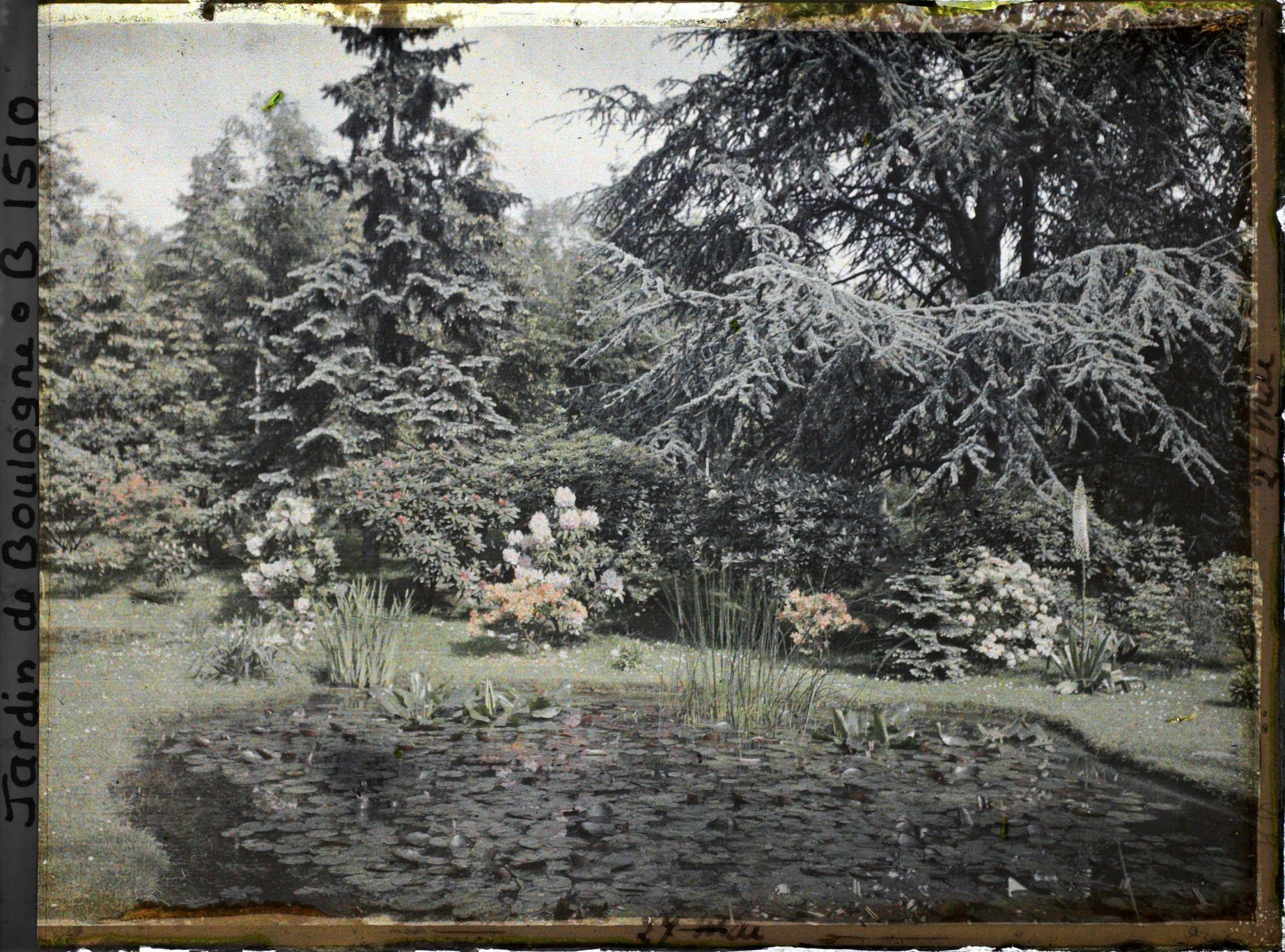 Image représentant Le marais