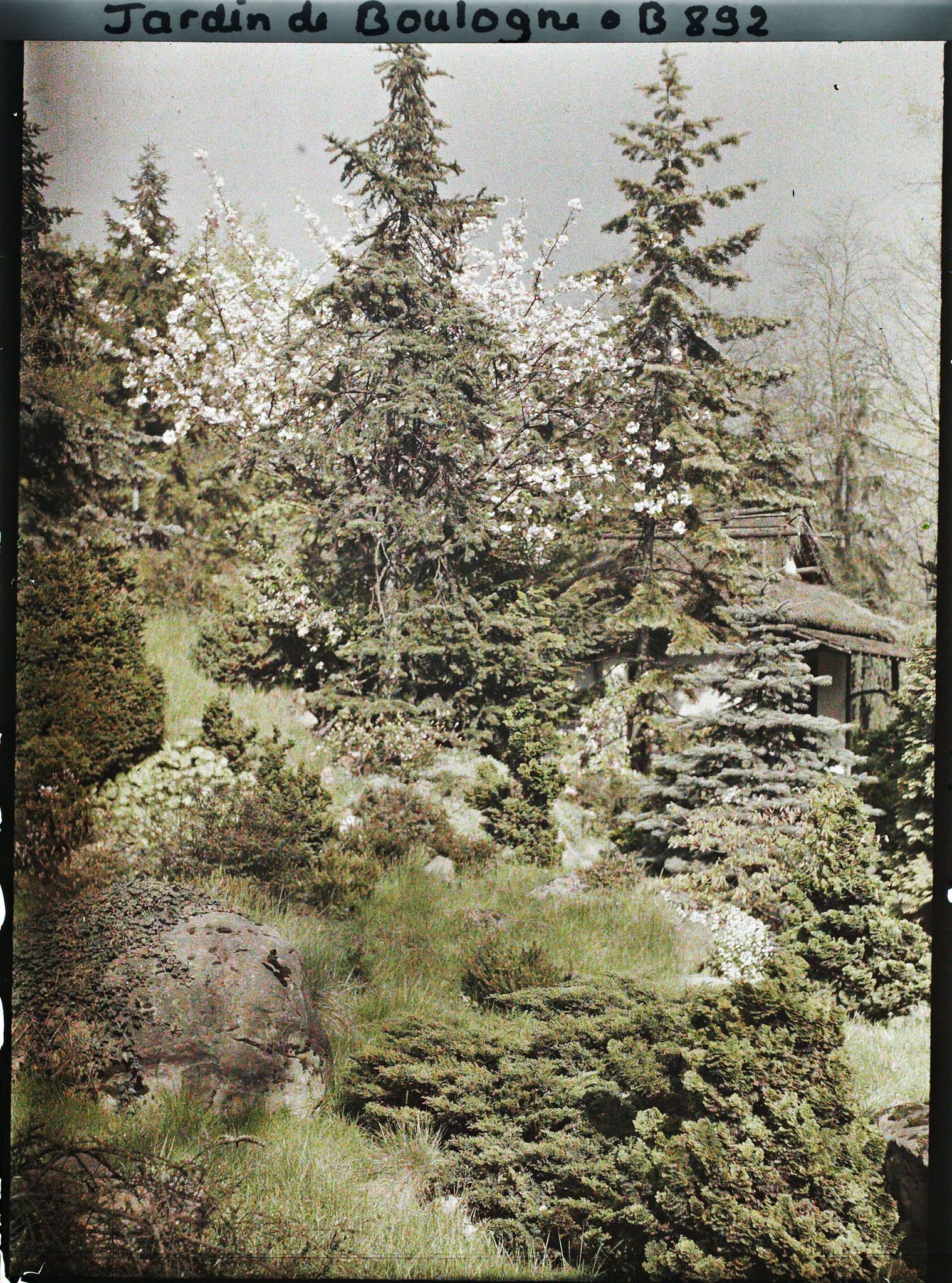Image représentant Pavillon de thé blotti dans un écrin de verdure, vu depuis l'ouest du " village japonais "