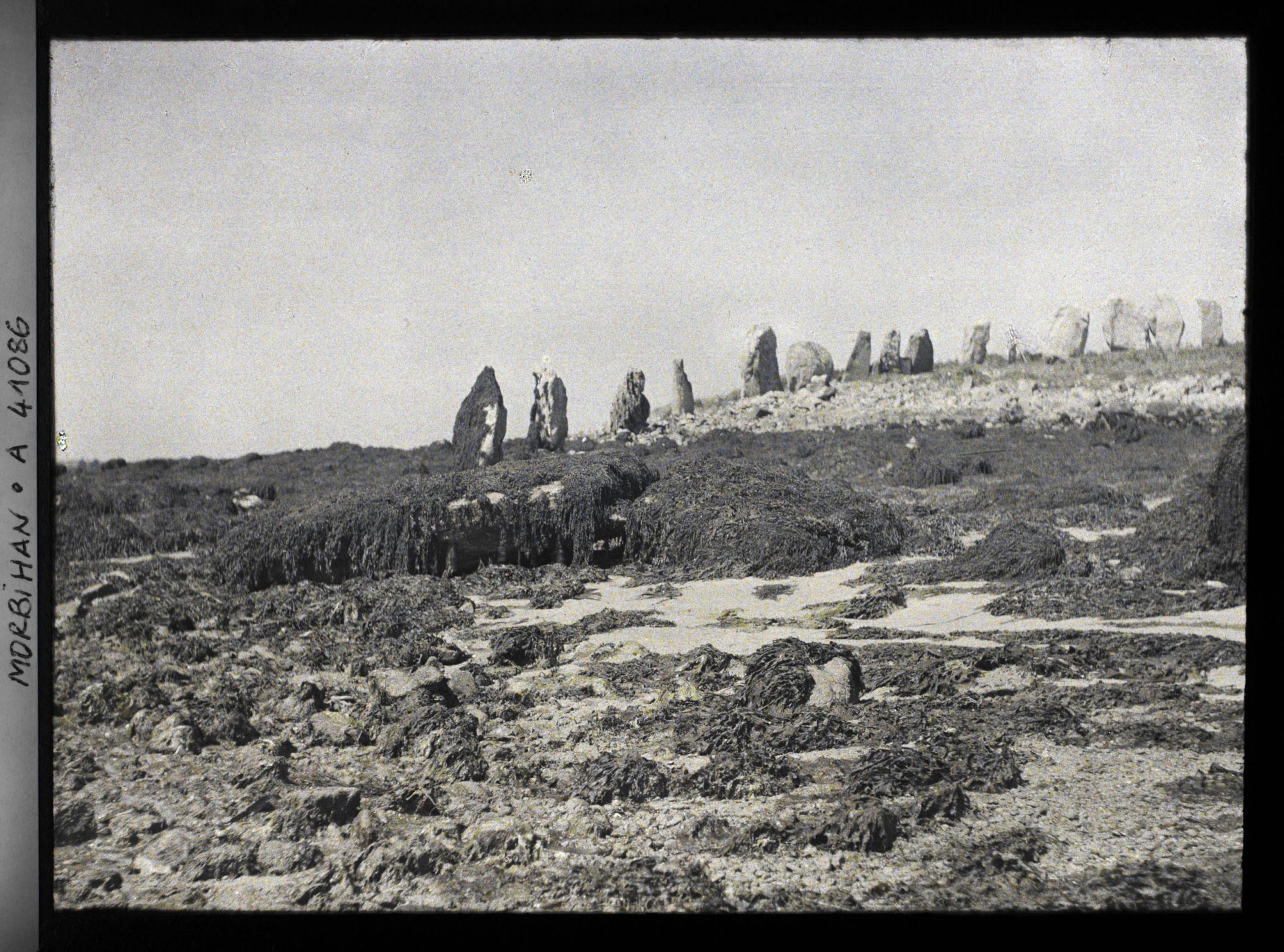 Image représentant Les cromlechs d'Er Lannic à marée basse
