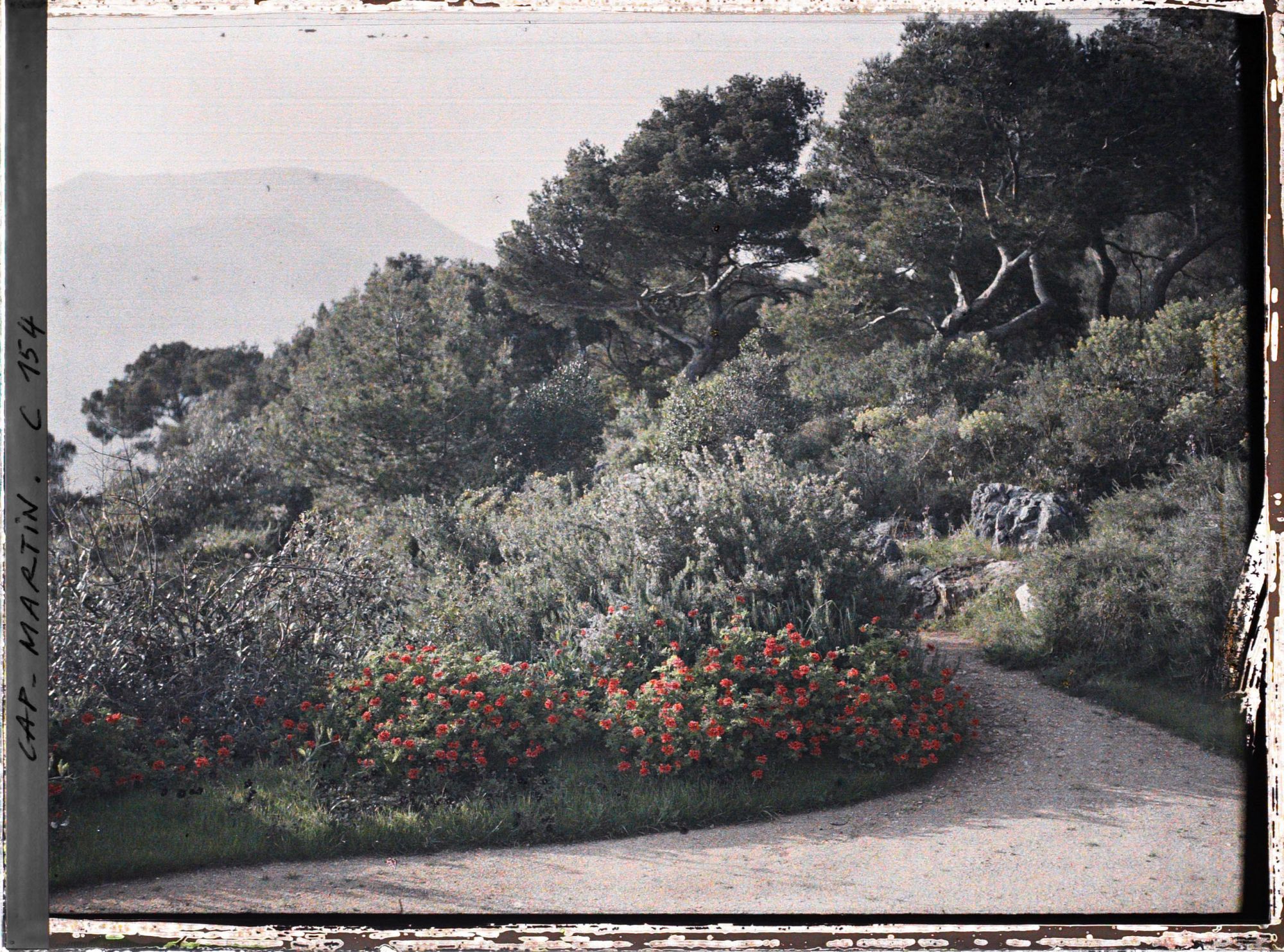 Image représentant Cap Martin - Le Jardin
