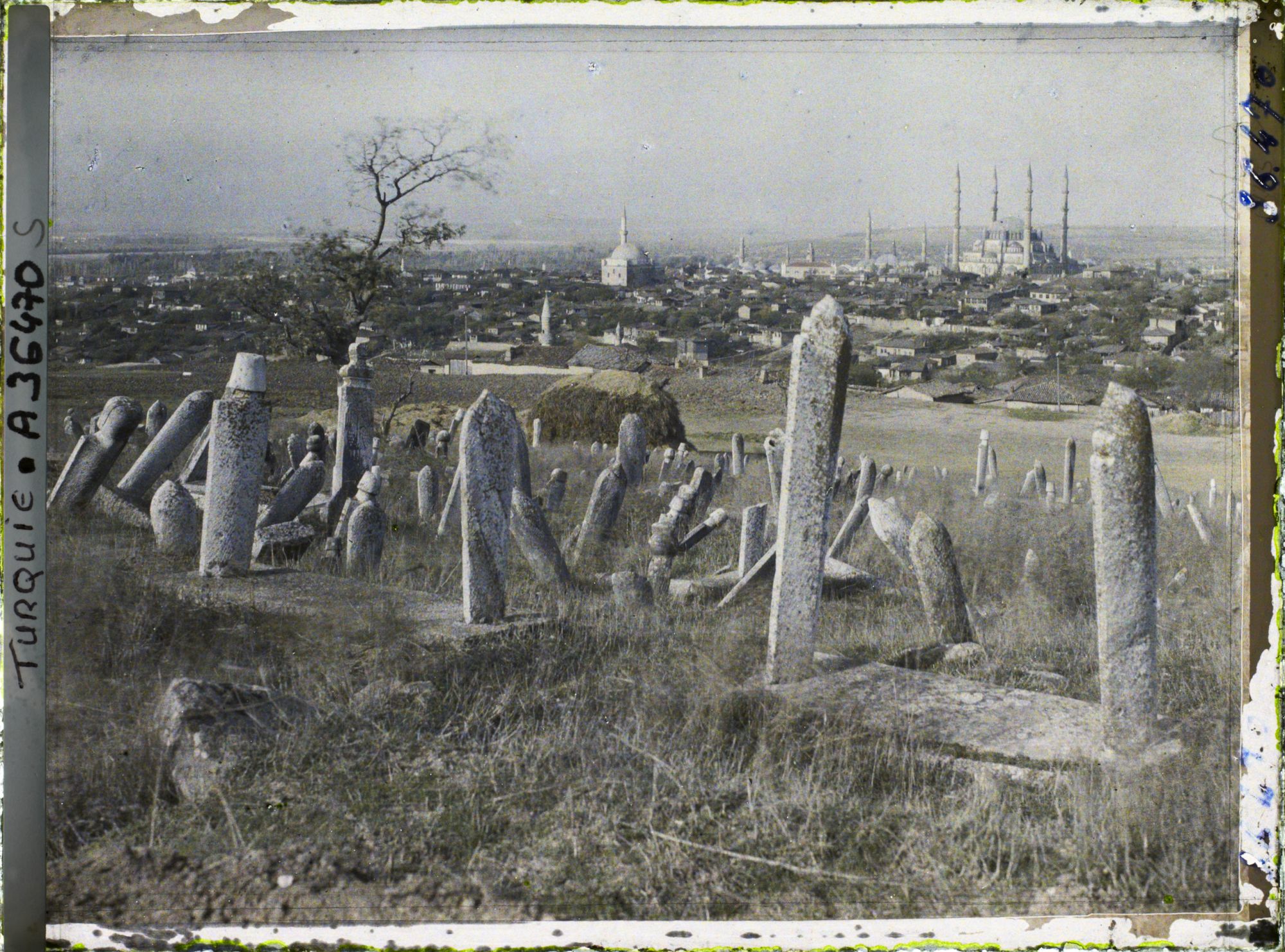 Image représentant Cimetière musulman (tombes et colonnes funéraires)