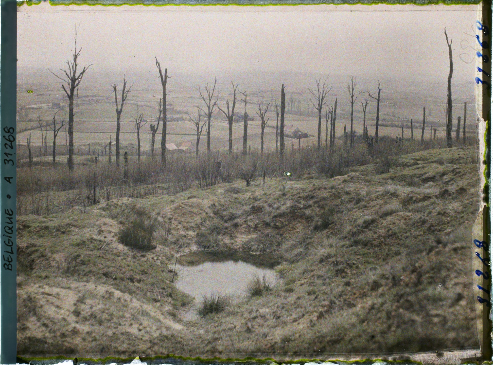 Image représentant Belgique, Kemmel, Le Bois du Kemmel et vue vers Neuve Eglise