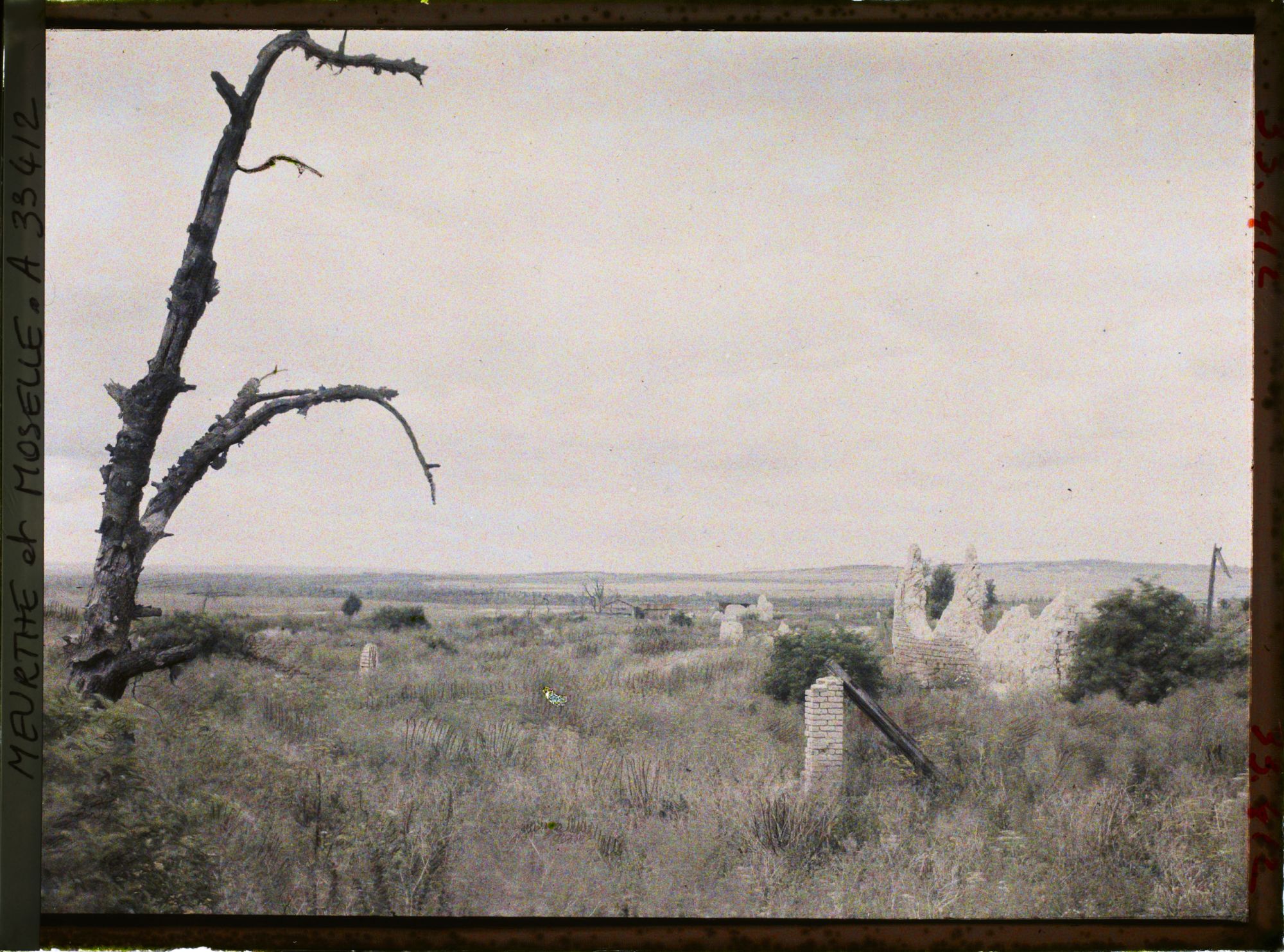 Image représentant France, Noroy, Restes du Village de Noroy