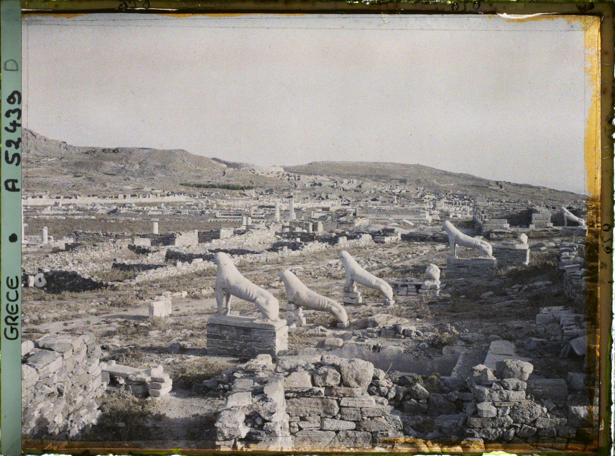 Image représentant La Terrasse des Lionnes