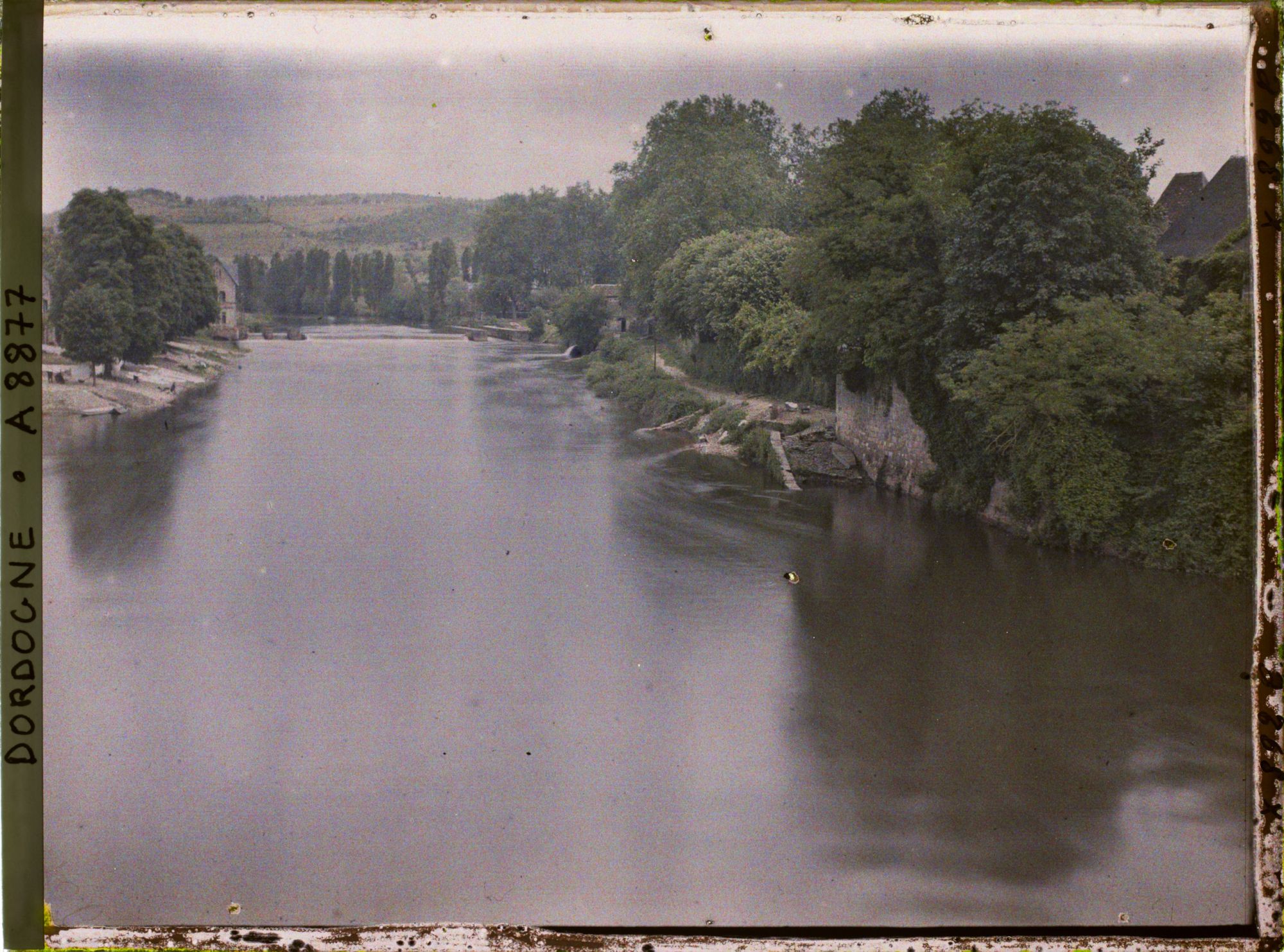 Image représentant France, Montignac, Les maisons de la rive gauche vaches à l'abreuvoir