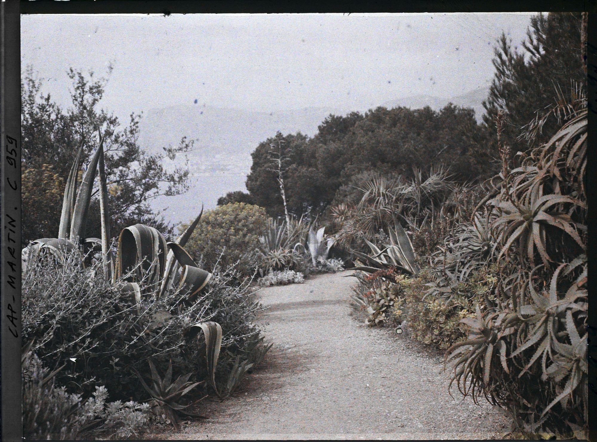 Image représentant Le Jardin