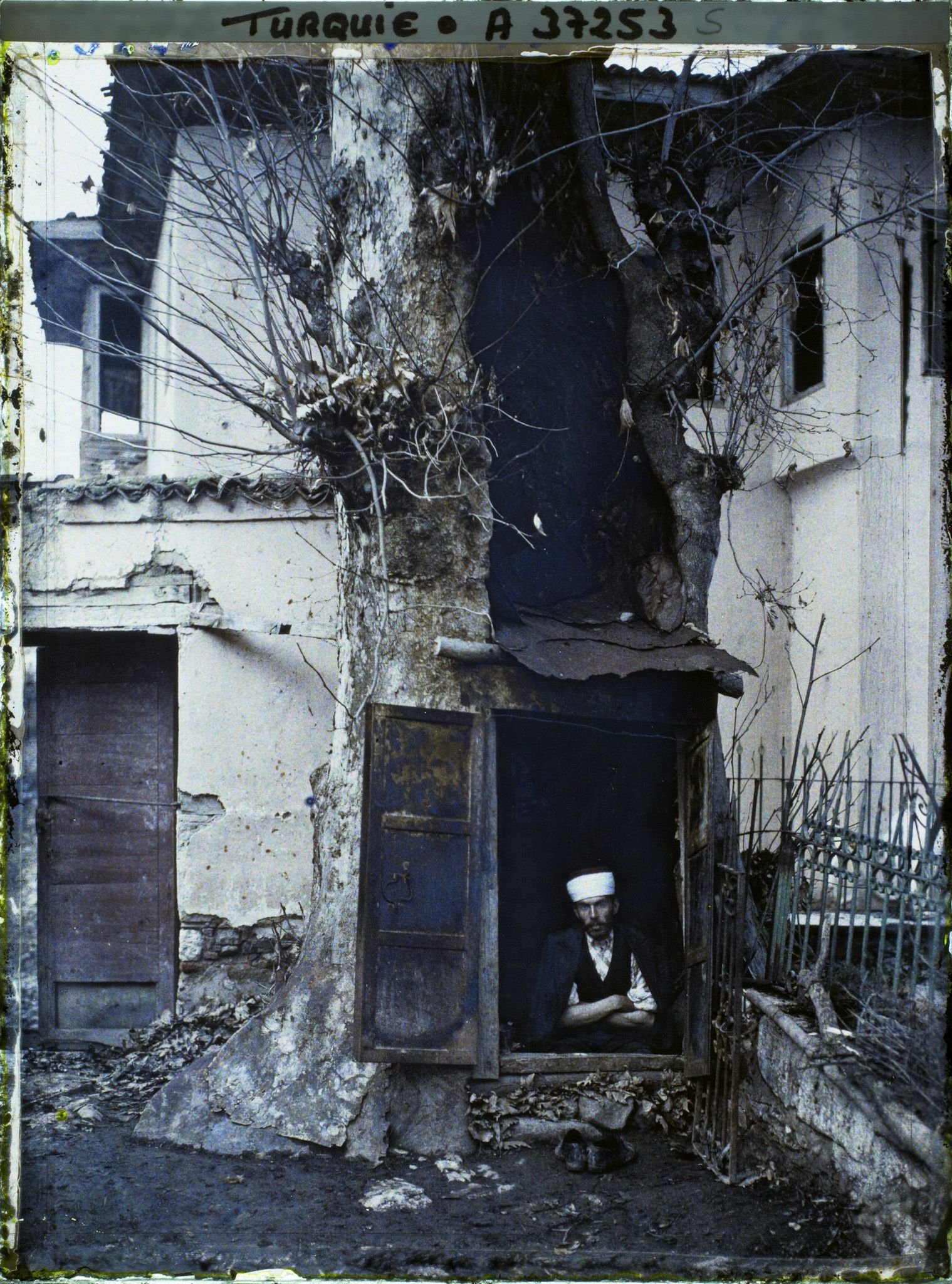 Image représentant Un habitant dont la maison fut détruite et élu domicile dans un arbre creux