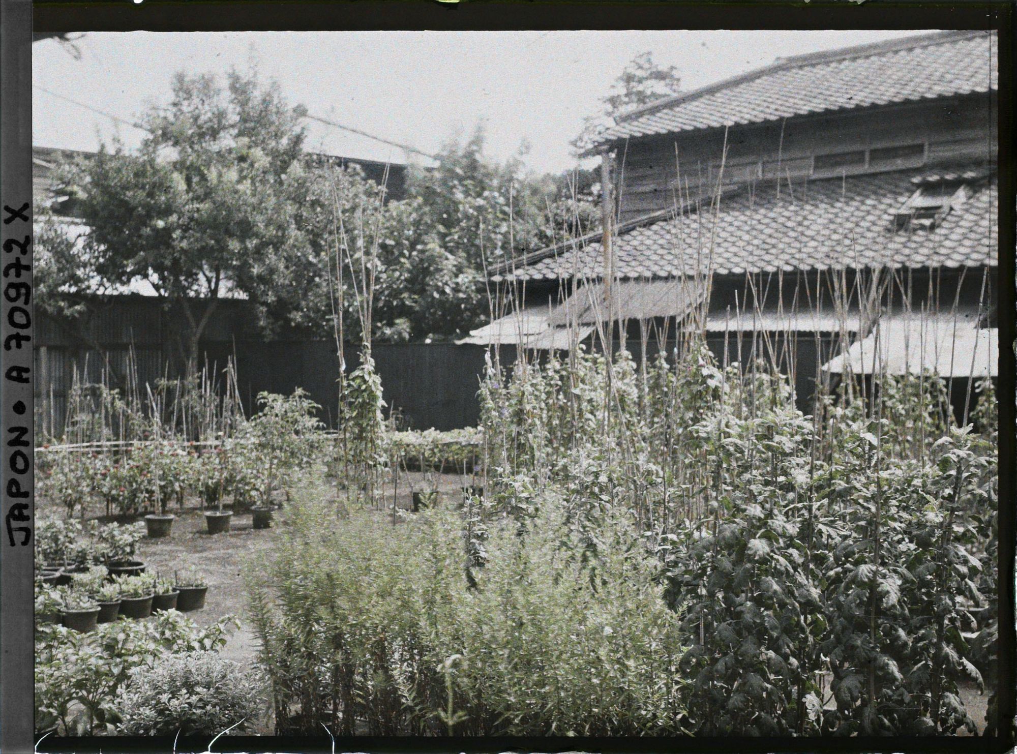 Image représentant Pépinière privée (?)