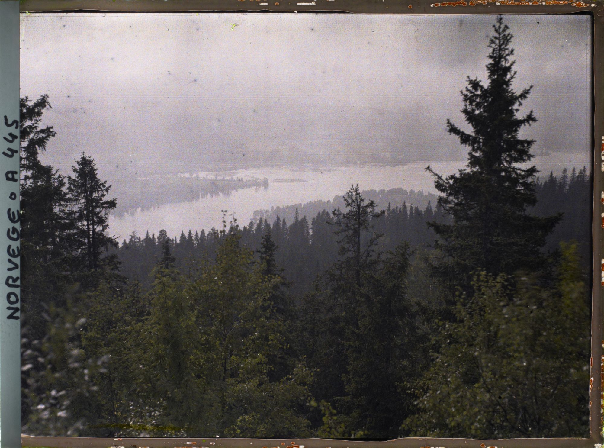 Image représentant Le fjord vu depuis le Volksenkollen