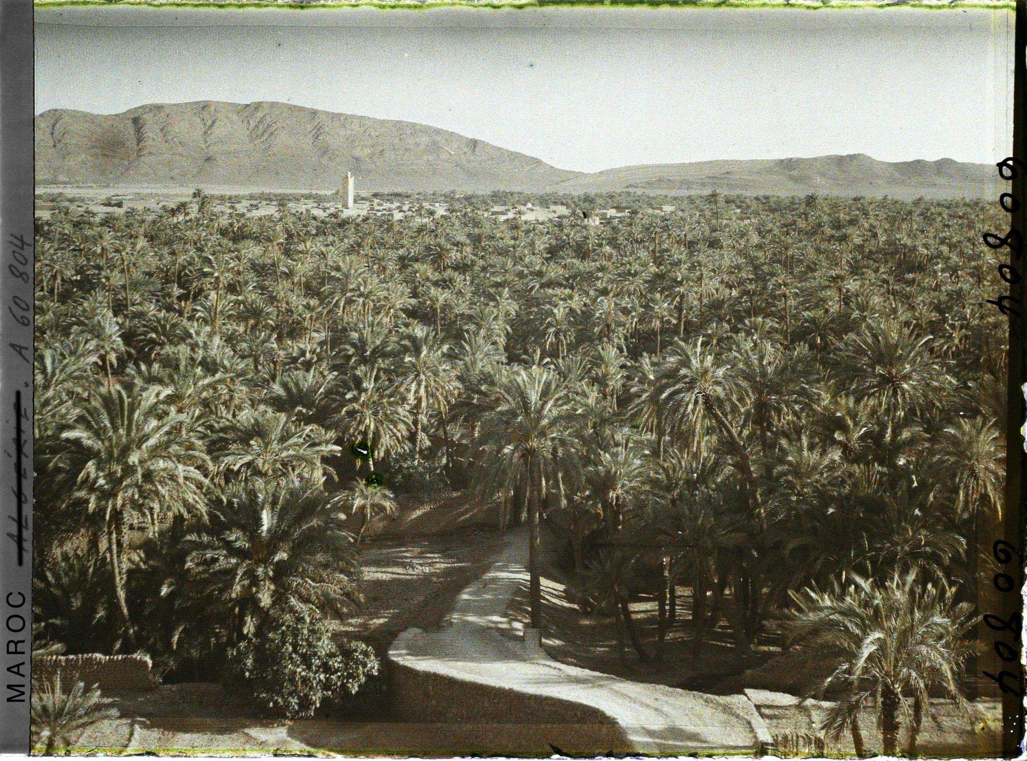 Image représentant La palmeraie et le village de Zenaga