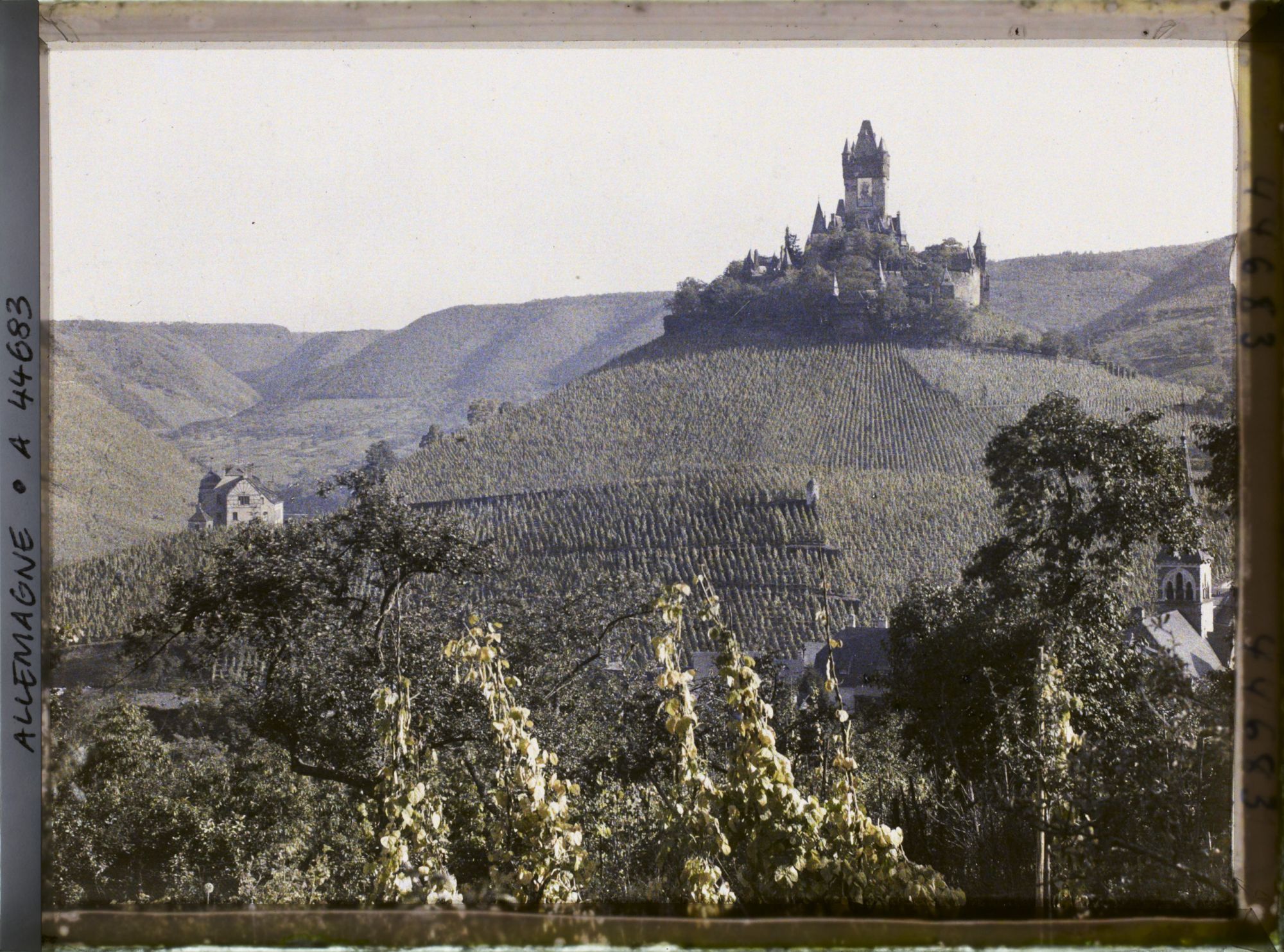 Image représentant Allemagne, Cochem (Moselle), Le Chau au milieu des Vignes