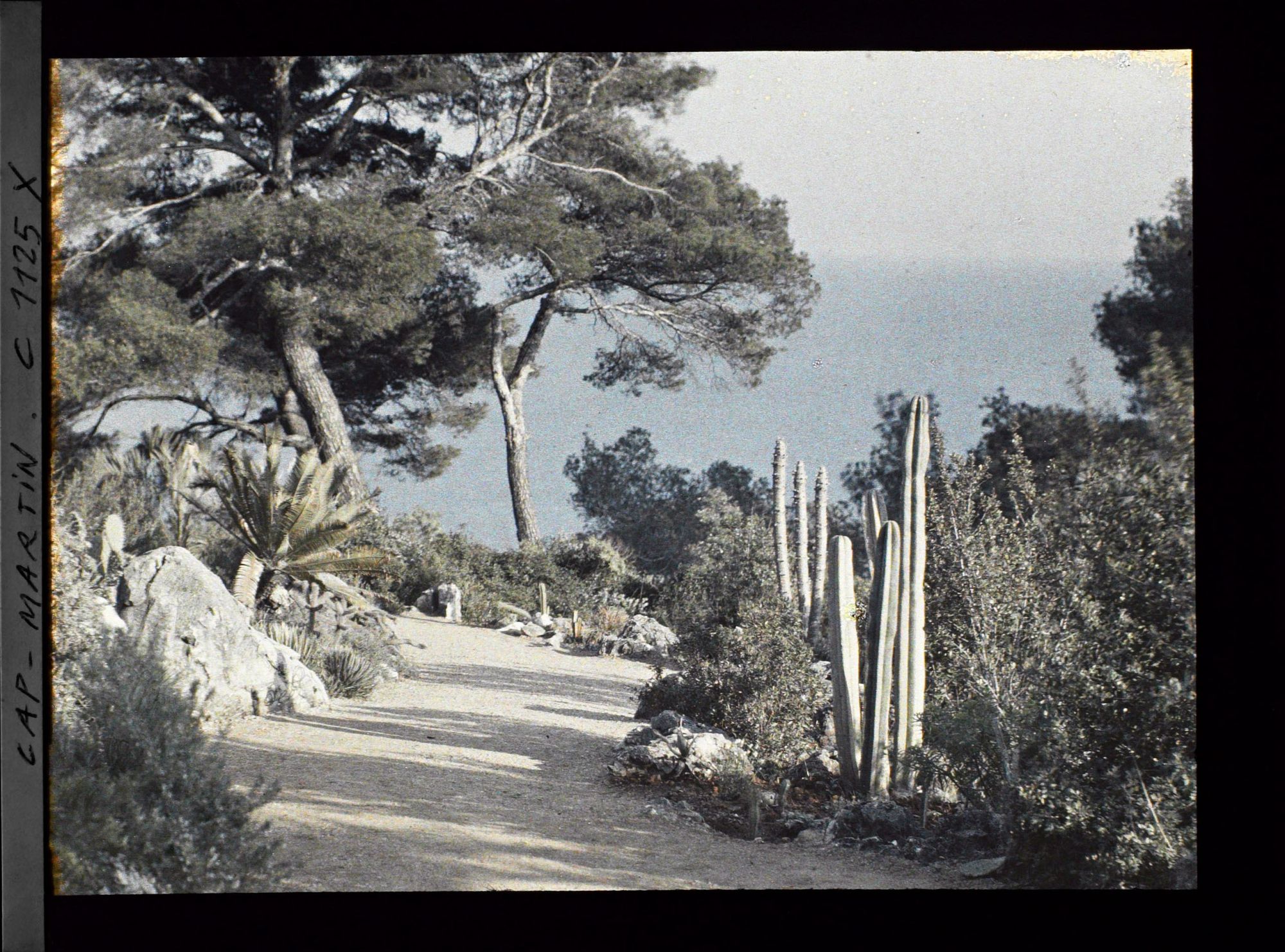 Image représentant le Jardin