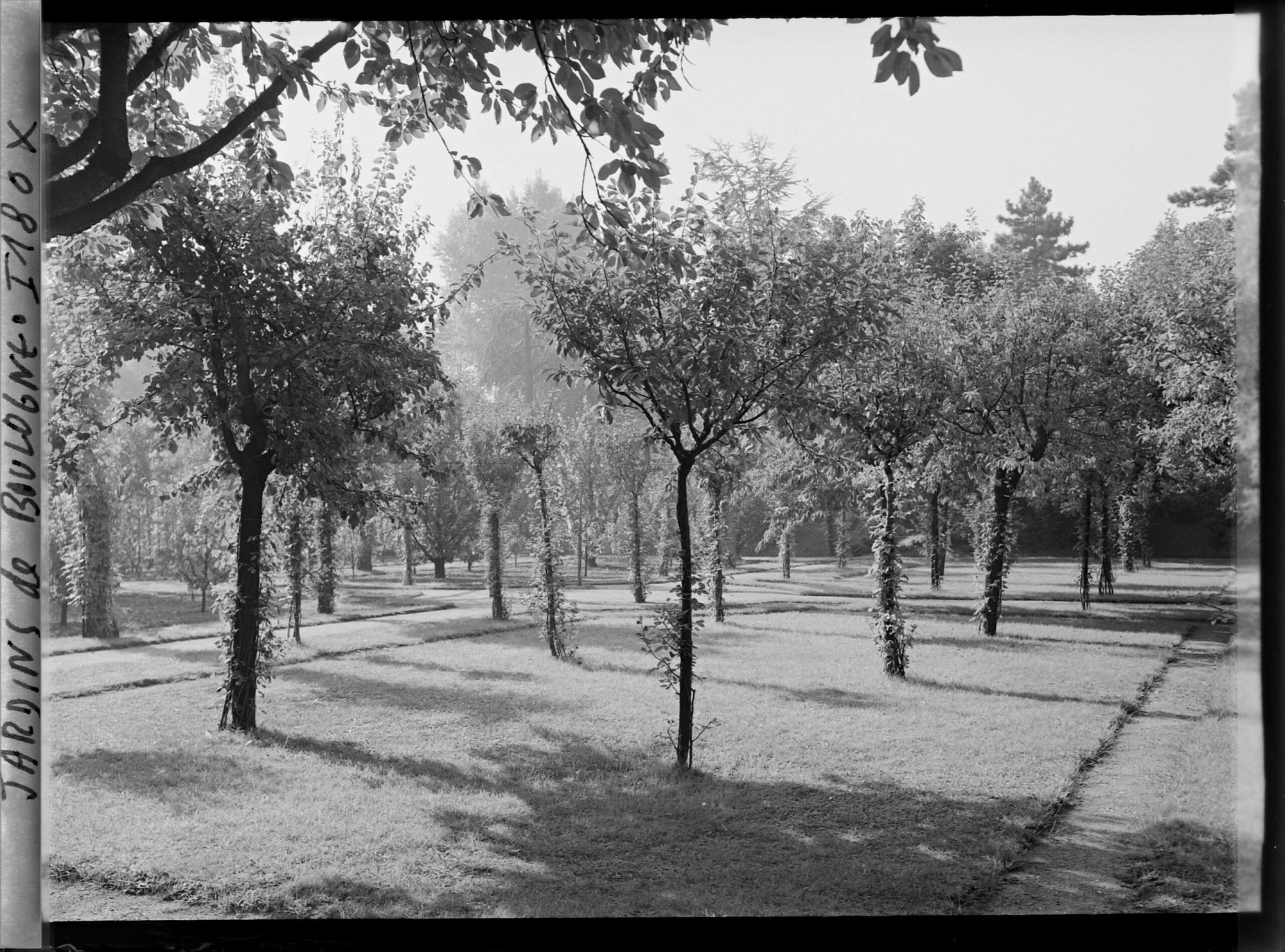 Image représentant Partie ouest du verger-roseraie proche de la dépendance, vue en direction du jardin japonais