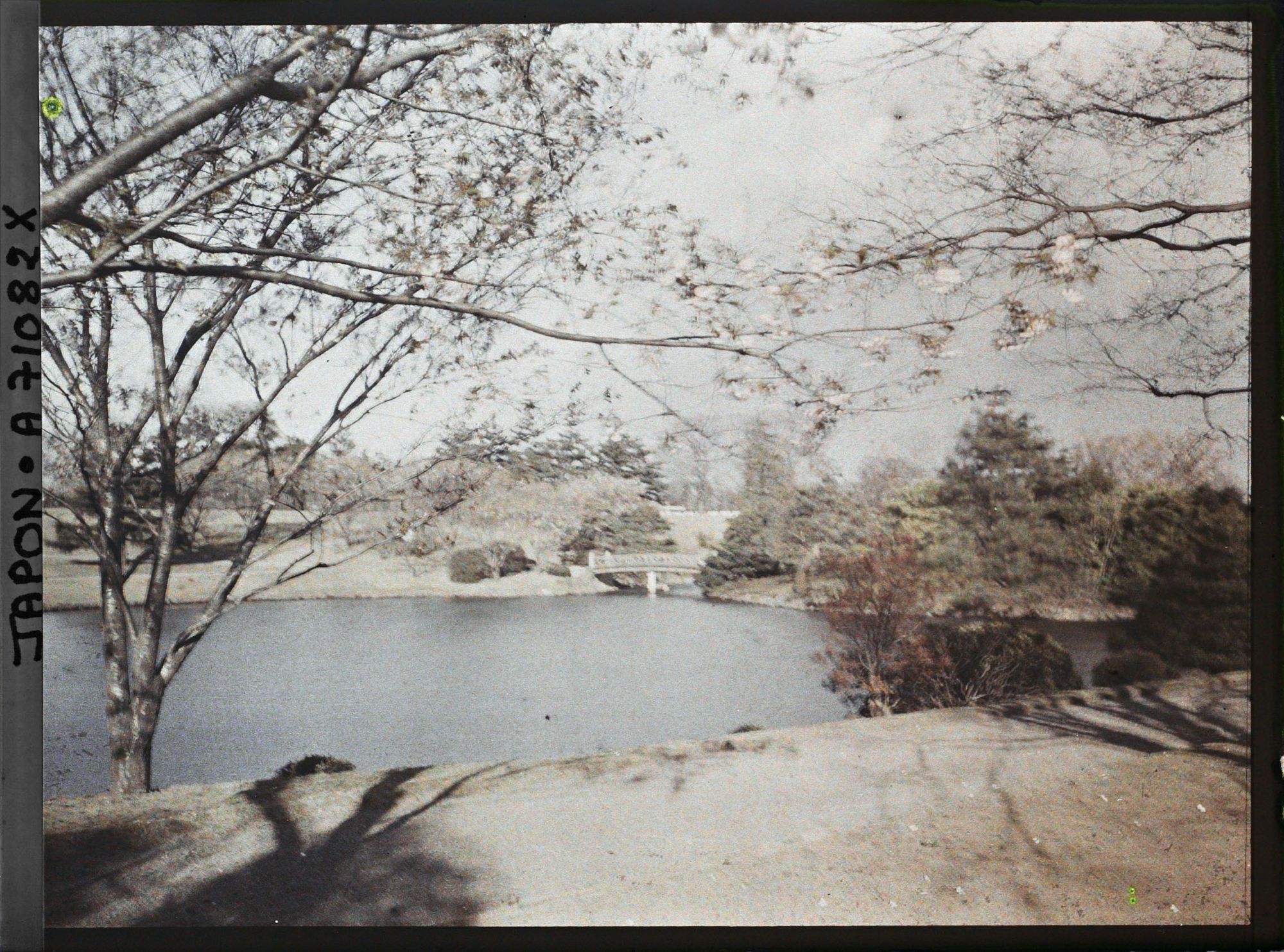 Image représentant Parc