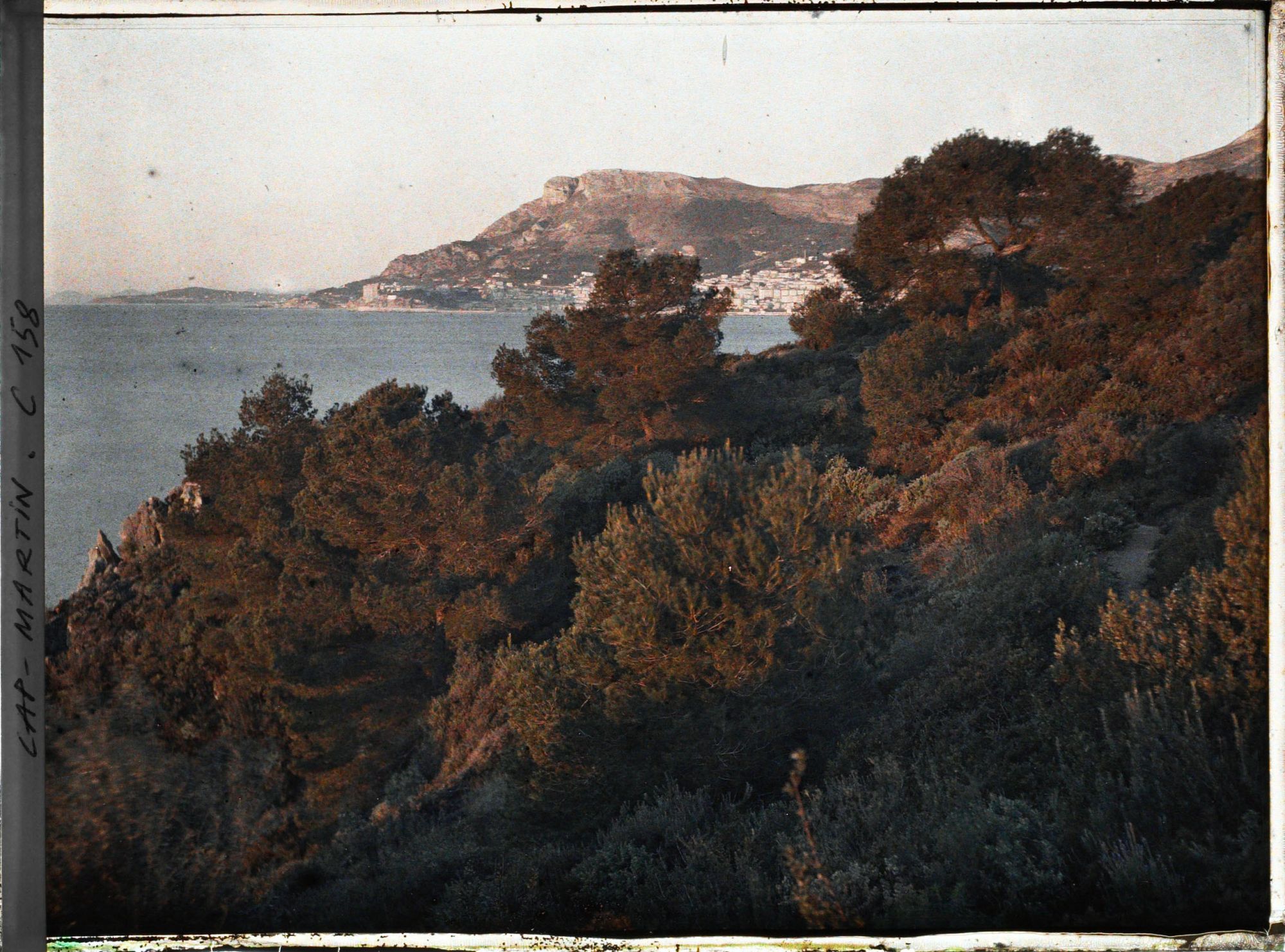 Image représentant Pointe rocheuse et paysage arboré vus en direction de Monaco, près de la villa Kahn dite villa Zamir
