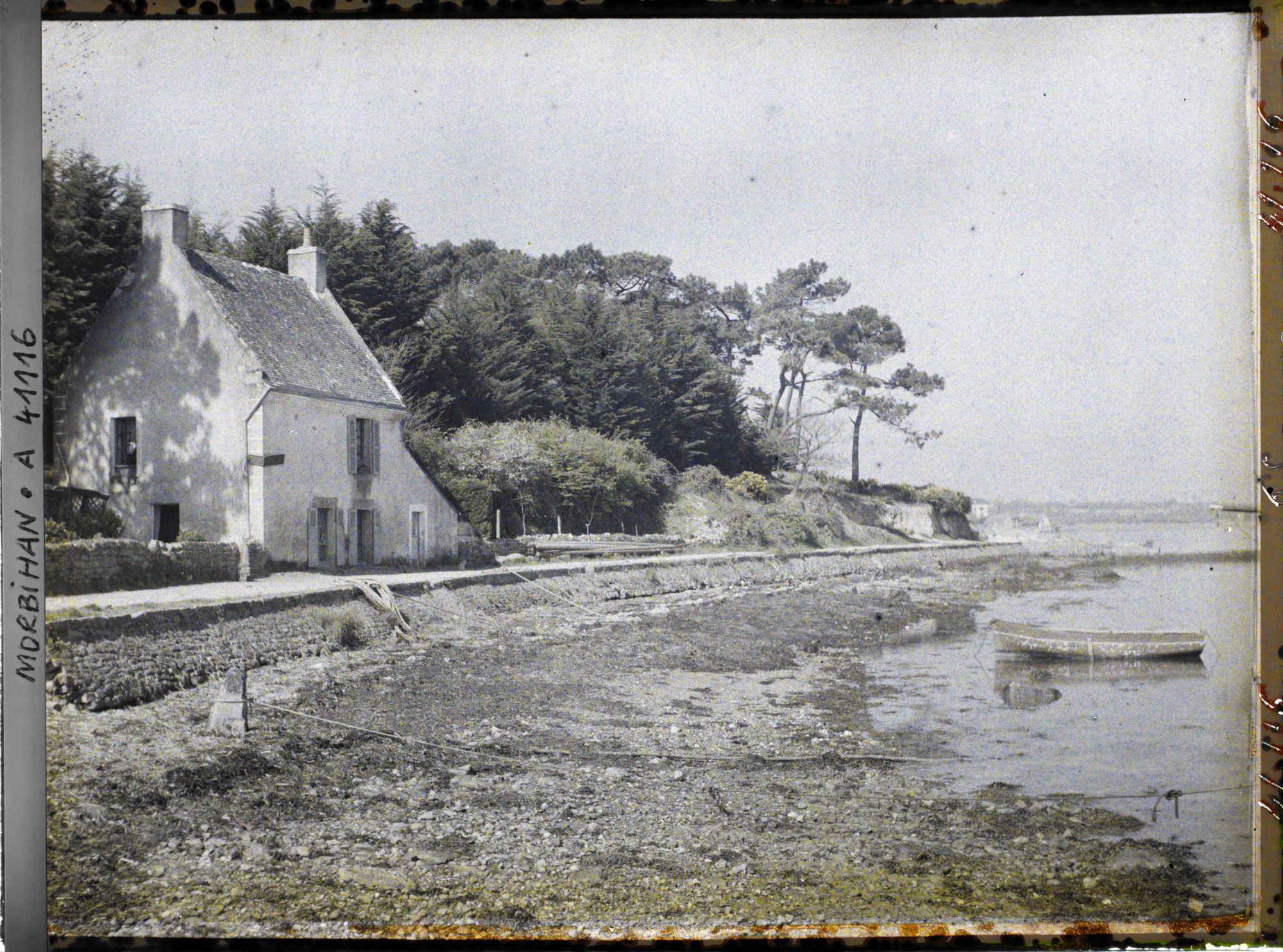 Image représentant Une maison au bord du quai ; au fond, des pins parasols