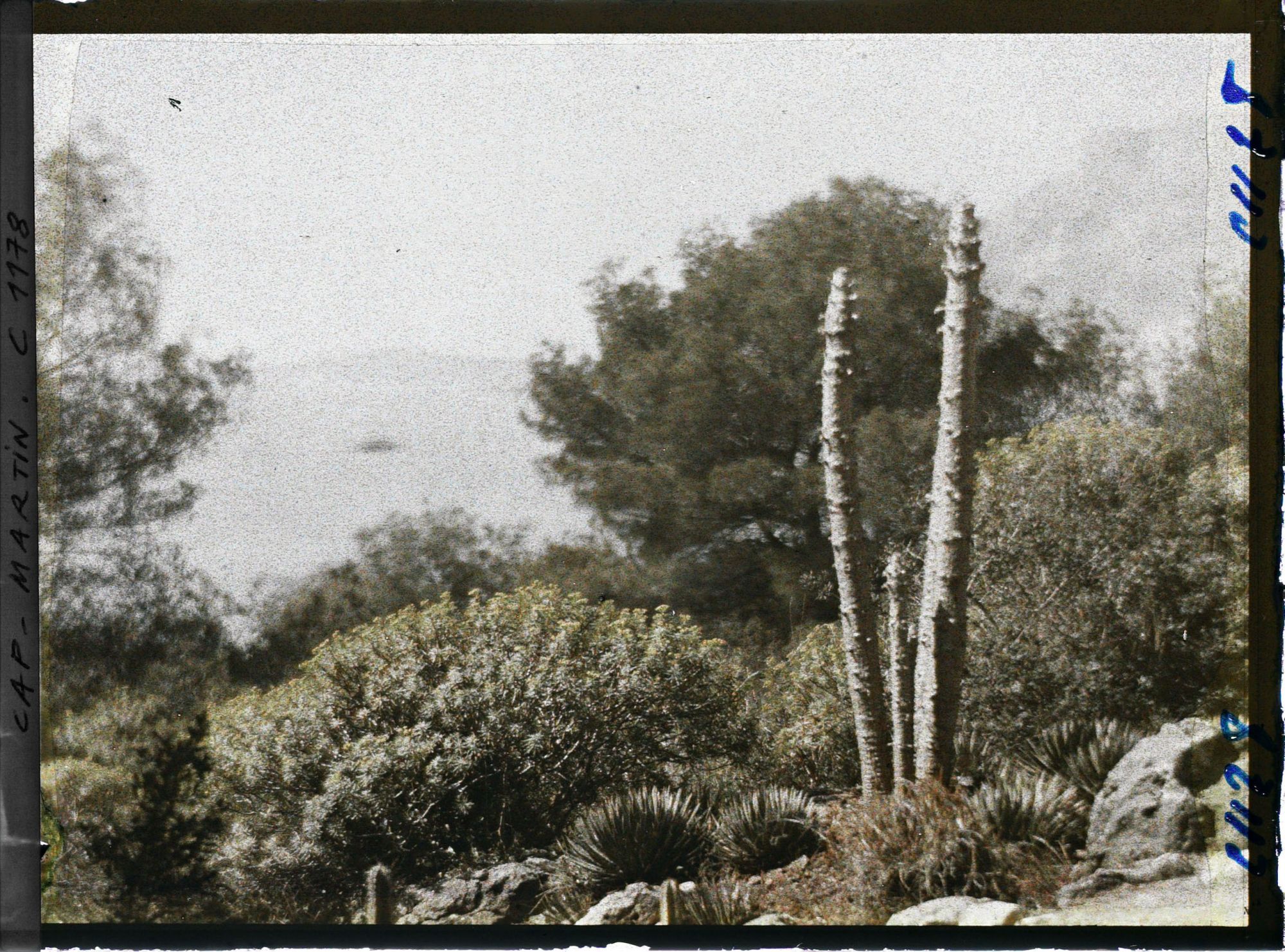 Image représentant le jardin