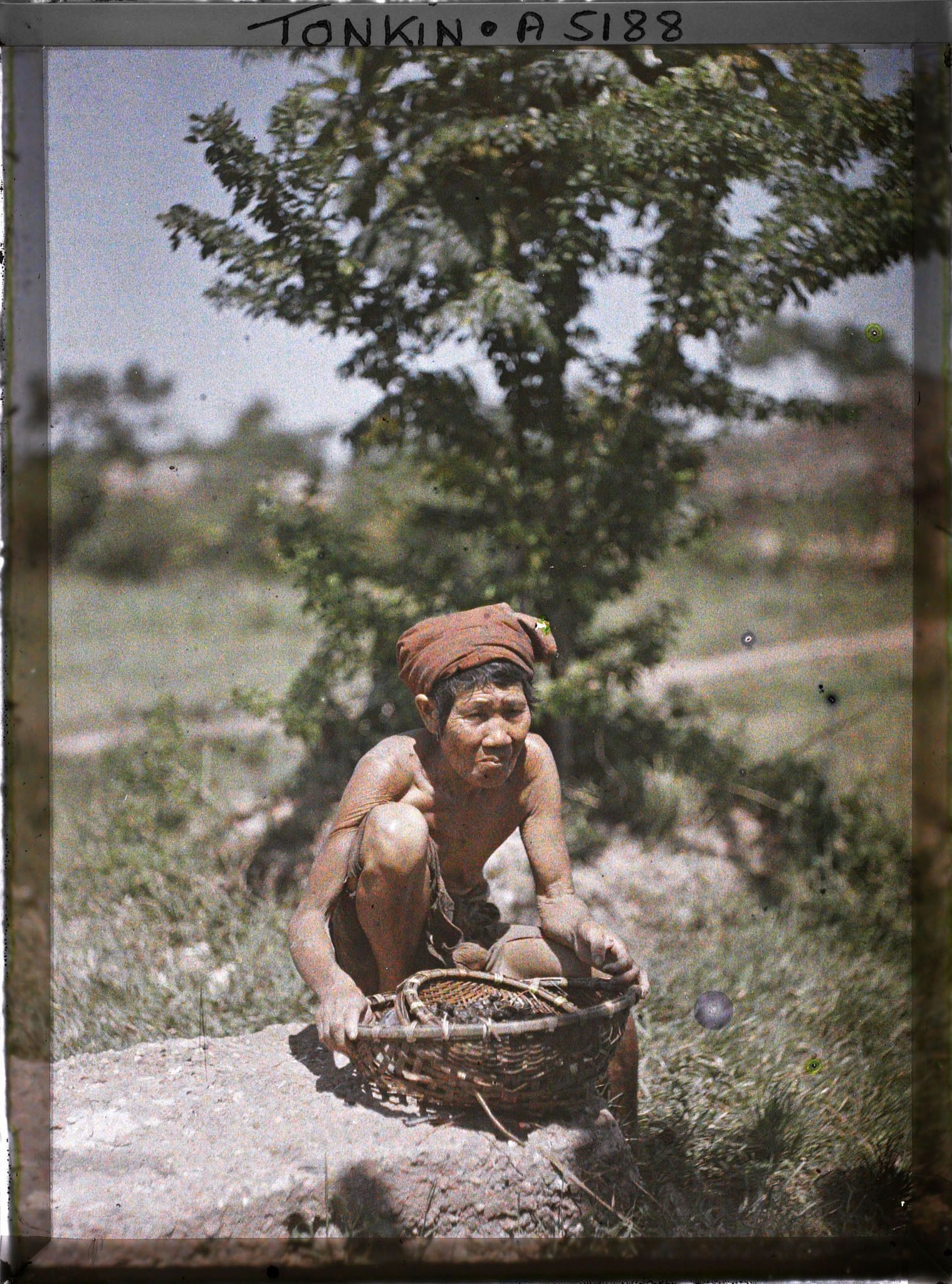 Image représentant Femme ramassant des escargots