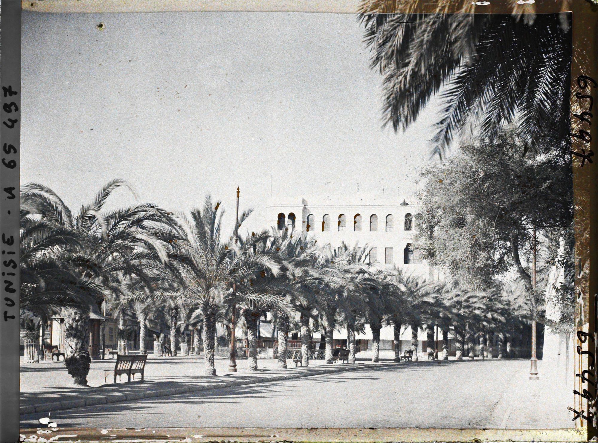 Image représentant La place Jérôme-Fidelle