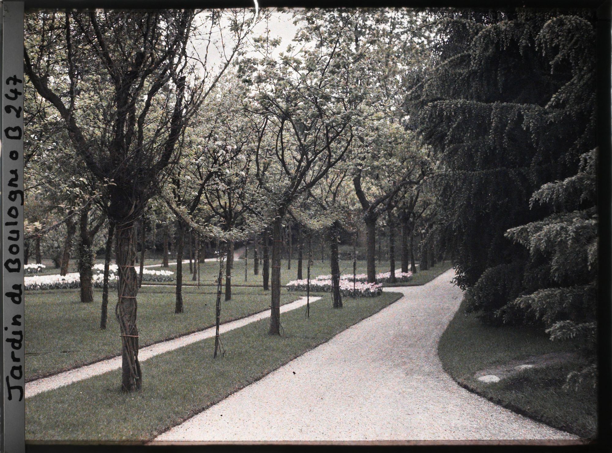 Image représentant Allée longeant la partie ouest du verger-roseraie, le long de la dépendance